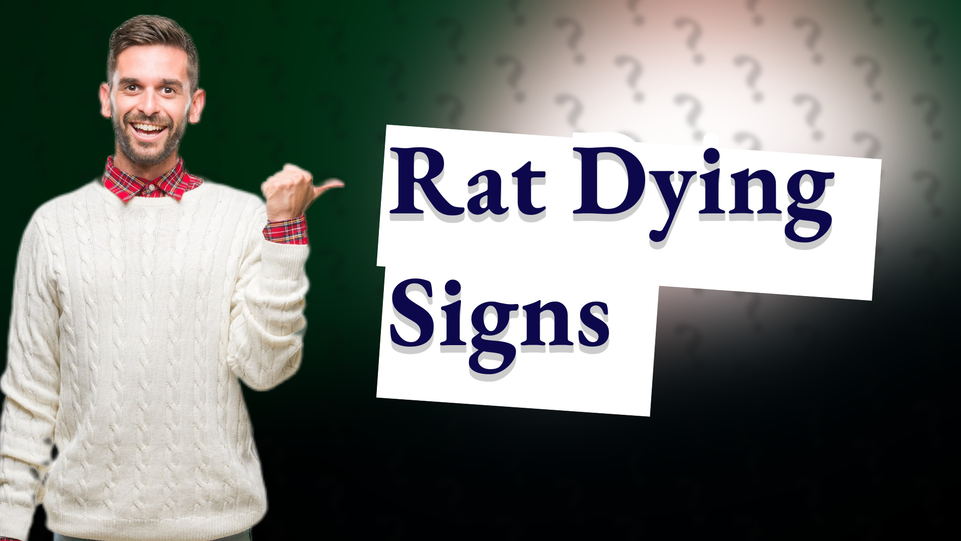 Rat Dying Signs