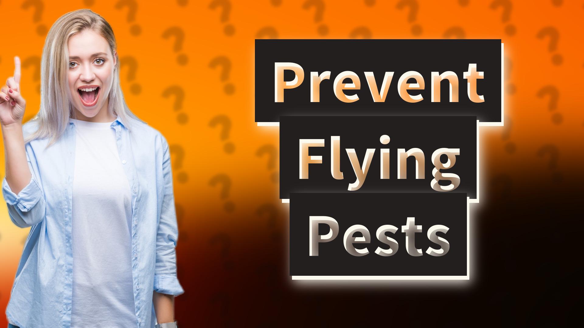 Prevent Flying Pests