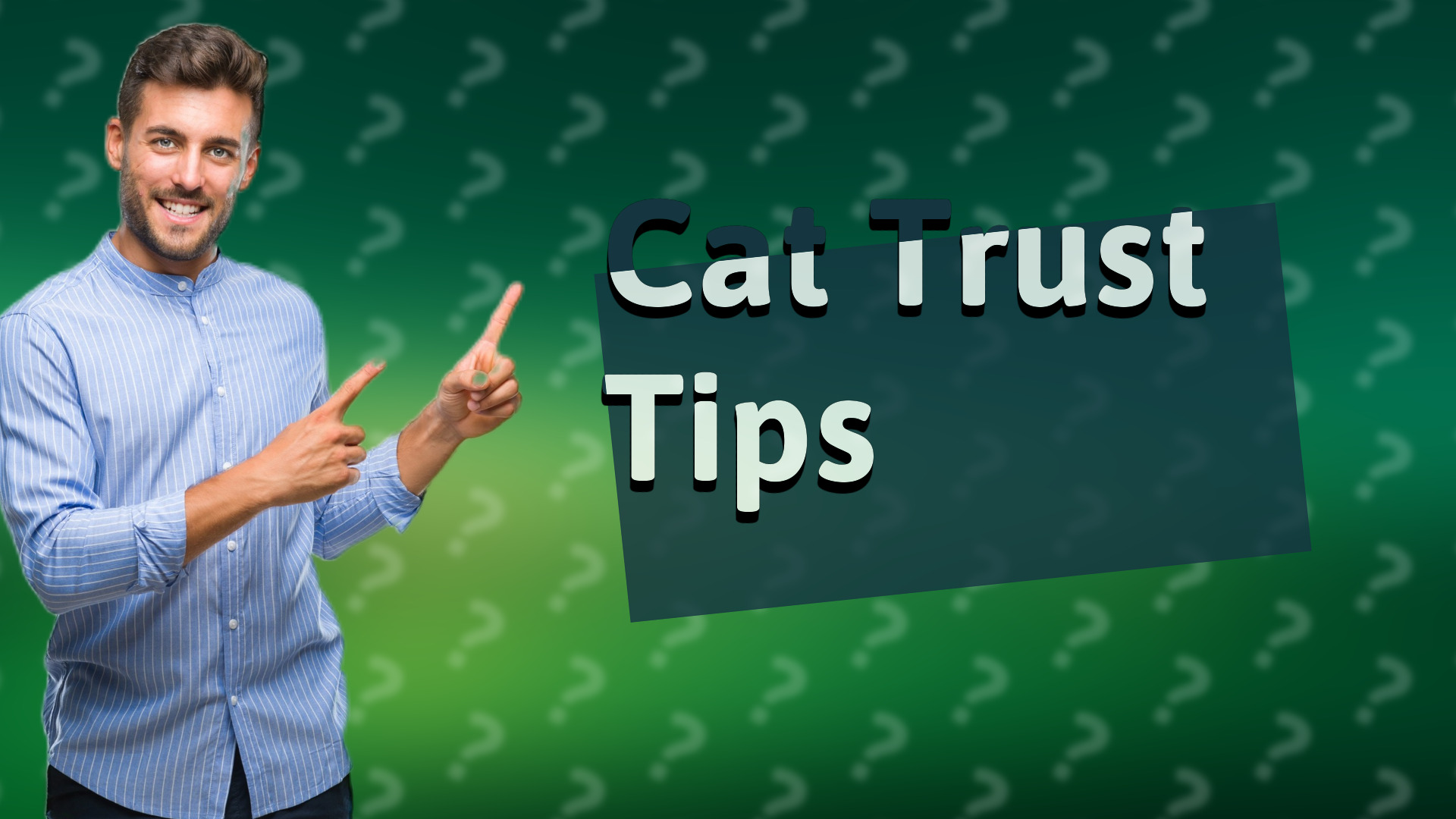 Cat Trust Tips