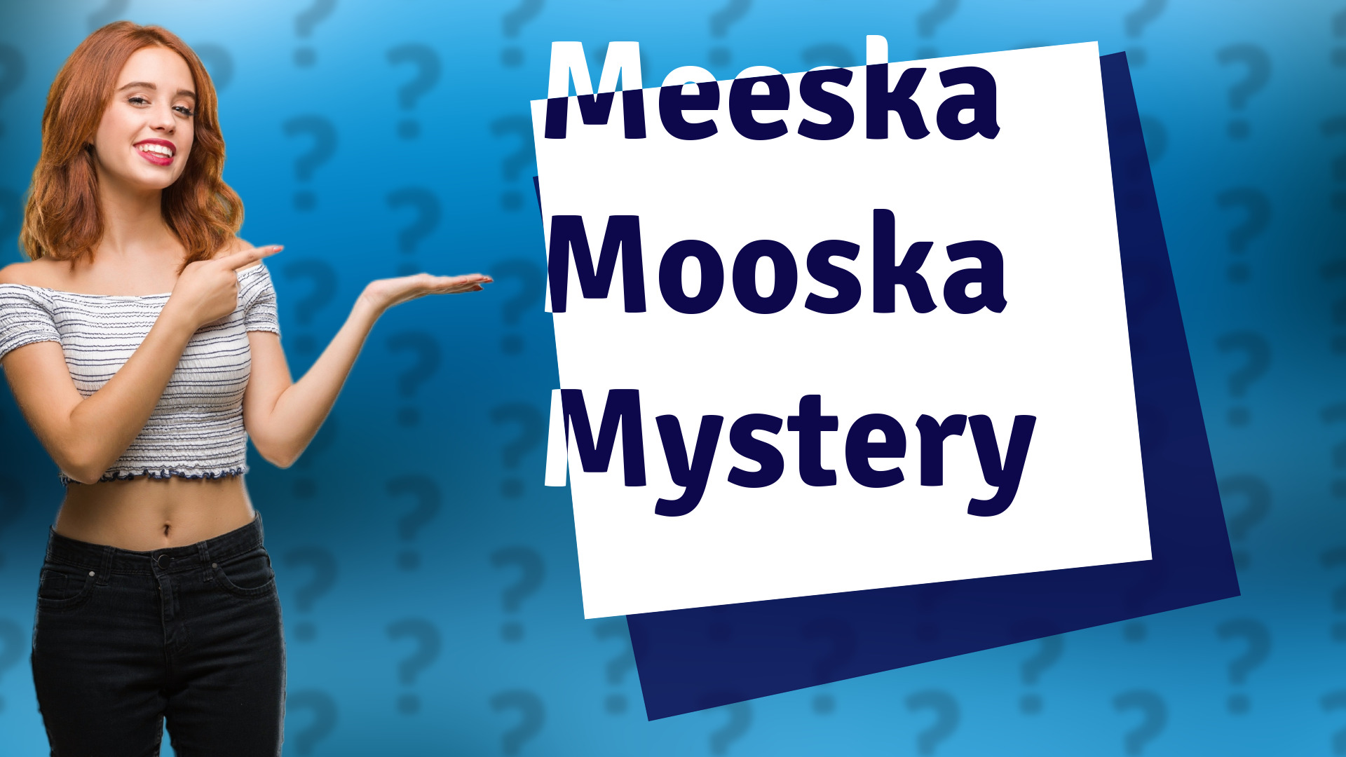 Meeska Mooska Mystery