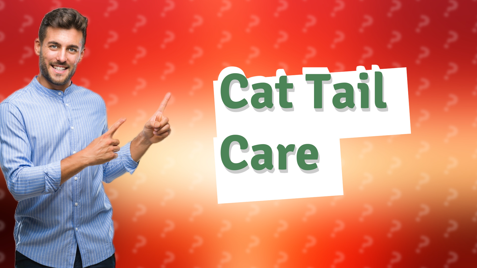 Cat Tail Care