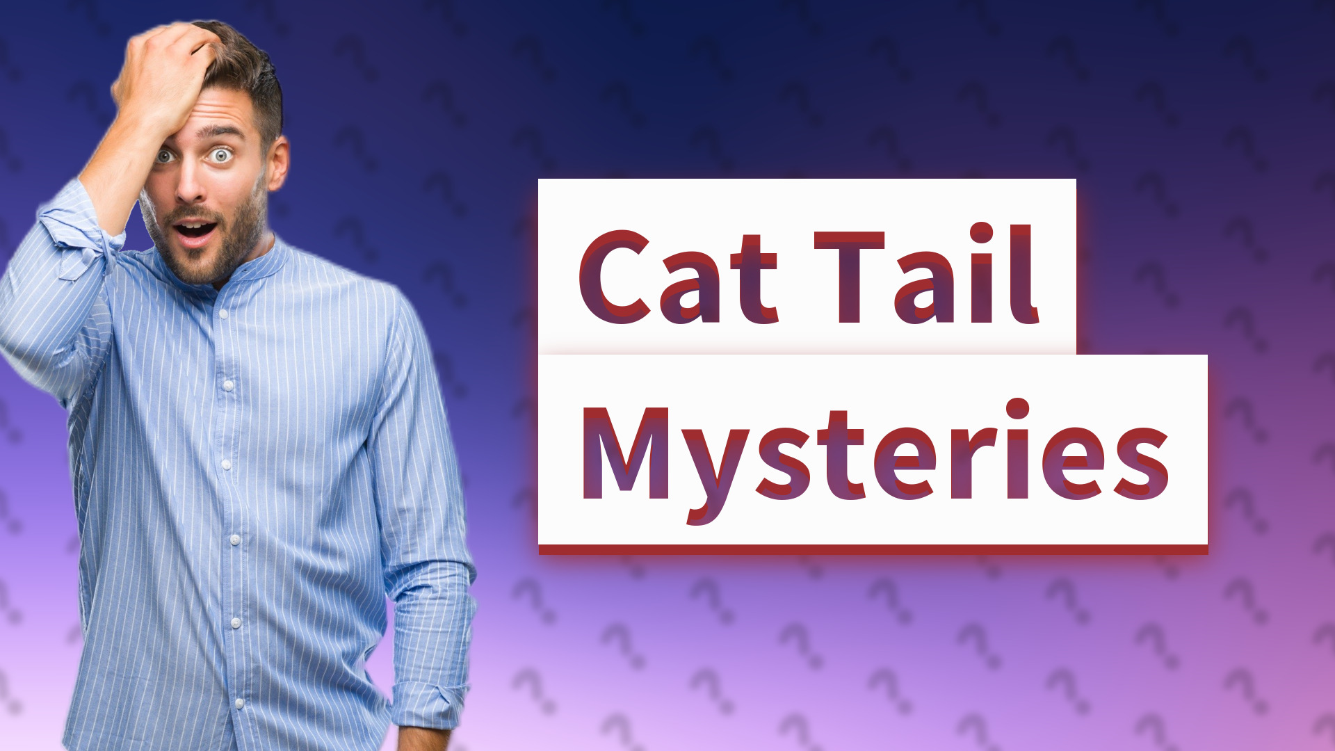 Cat Tail Mysteries