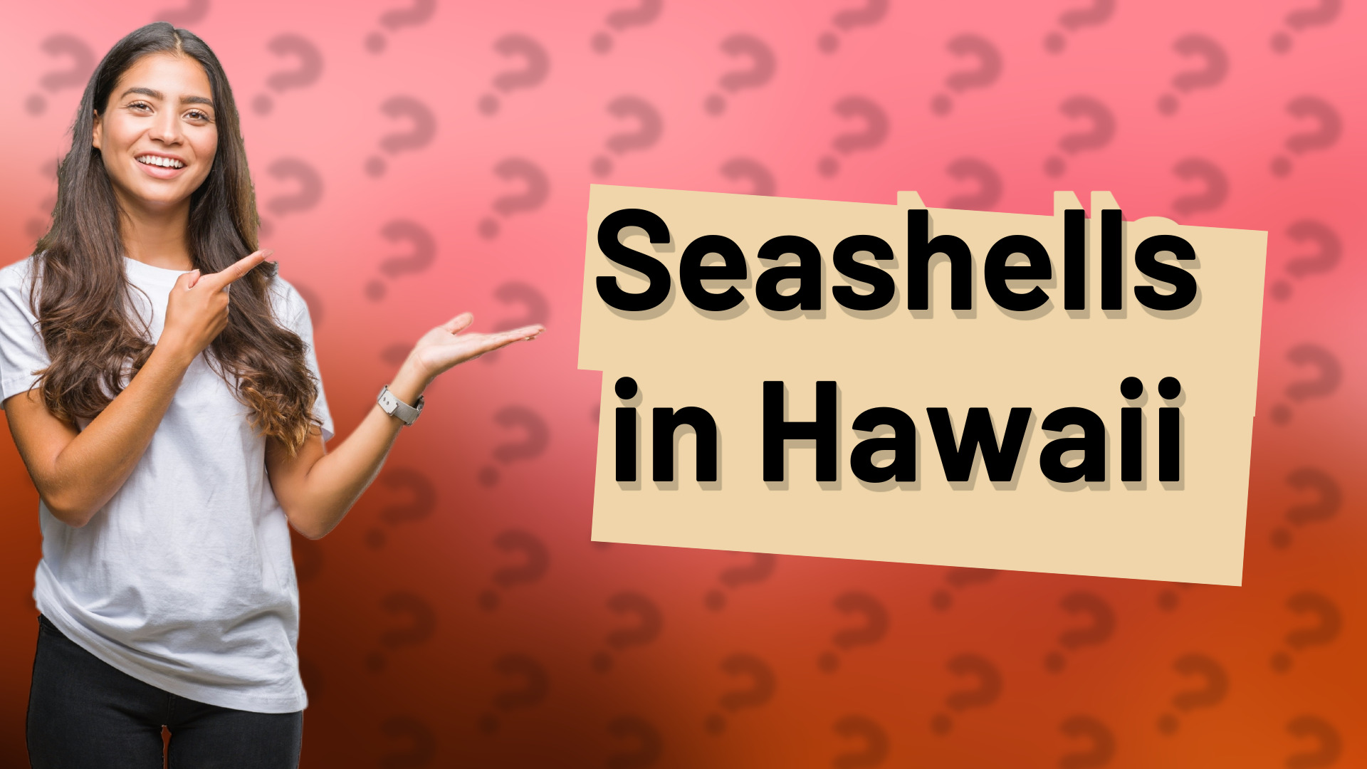 Seashells in Hawaii