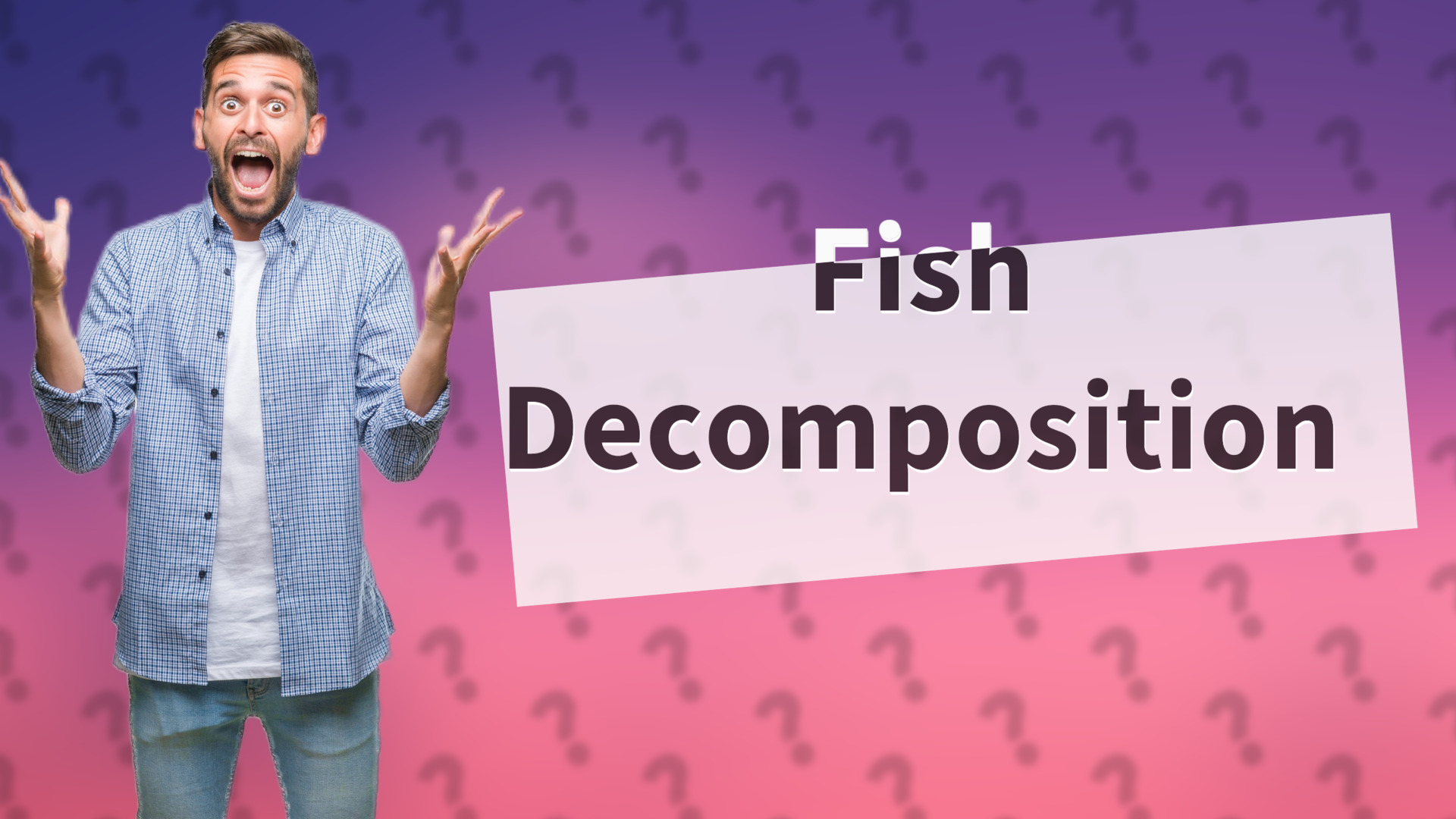 Fish Decomposition