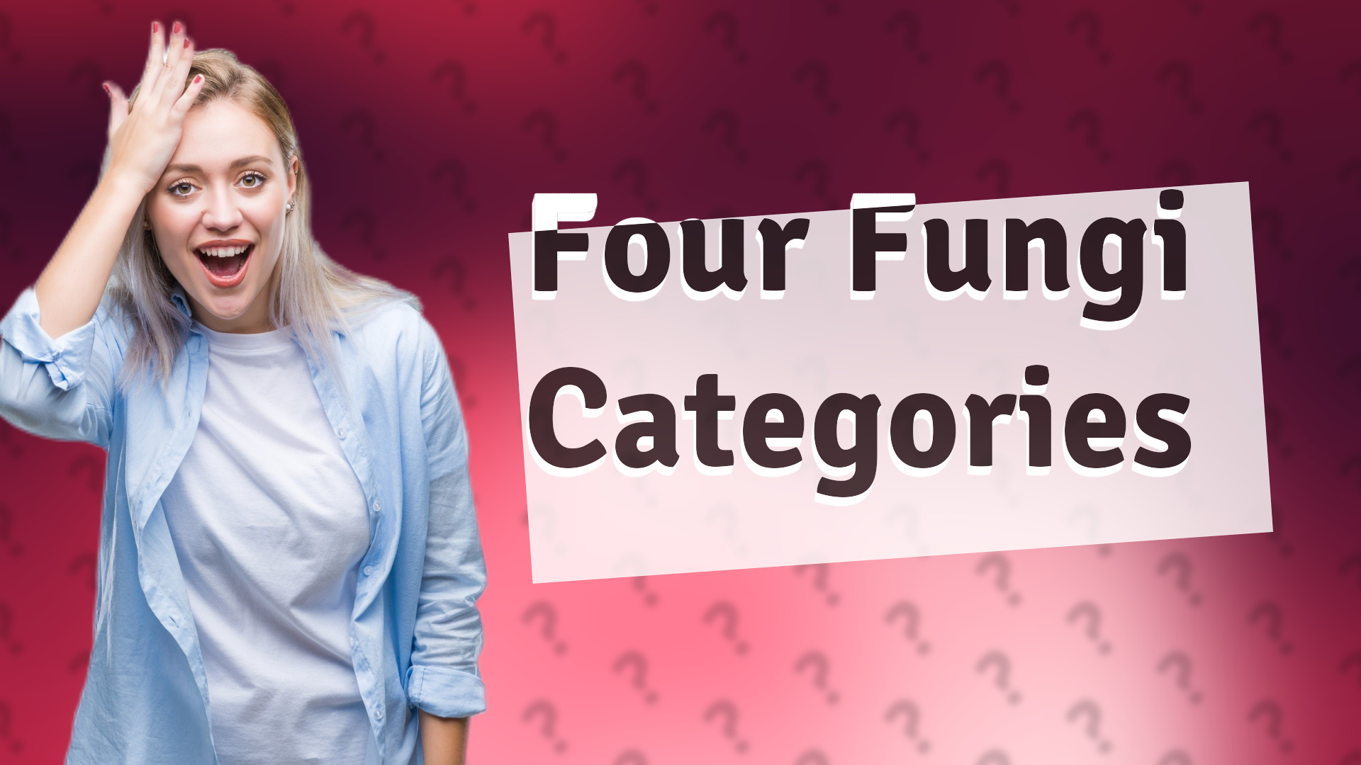 Four Fungi Categories