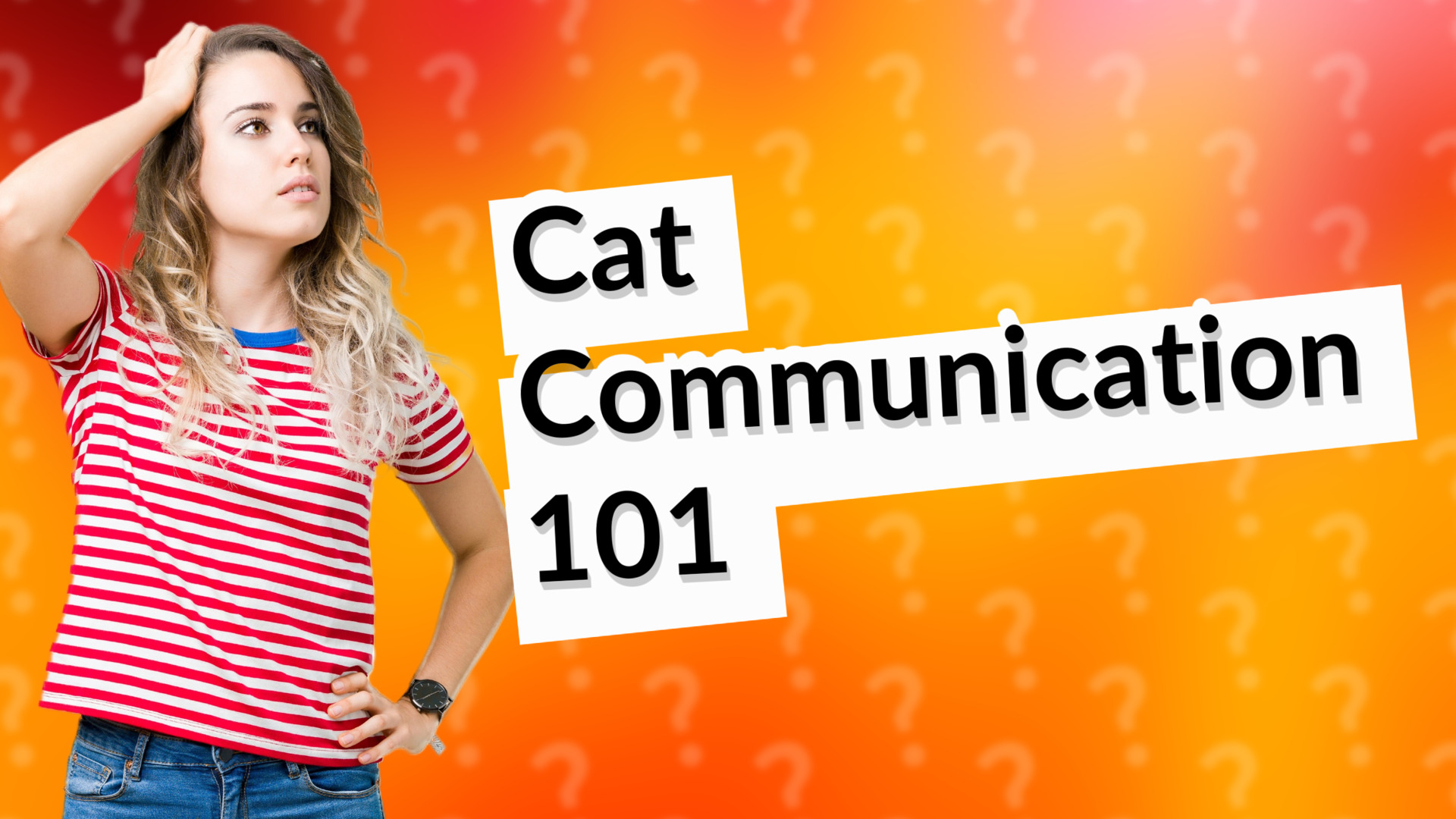 Cat Communication 101