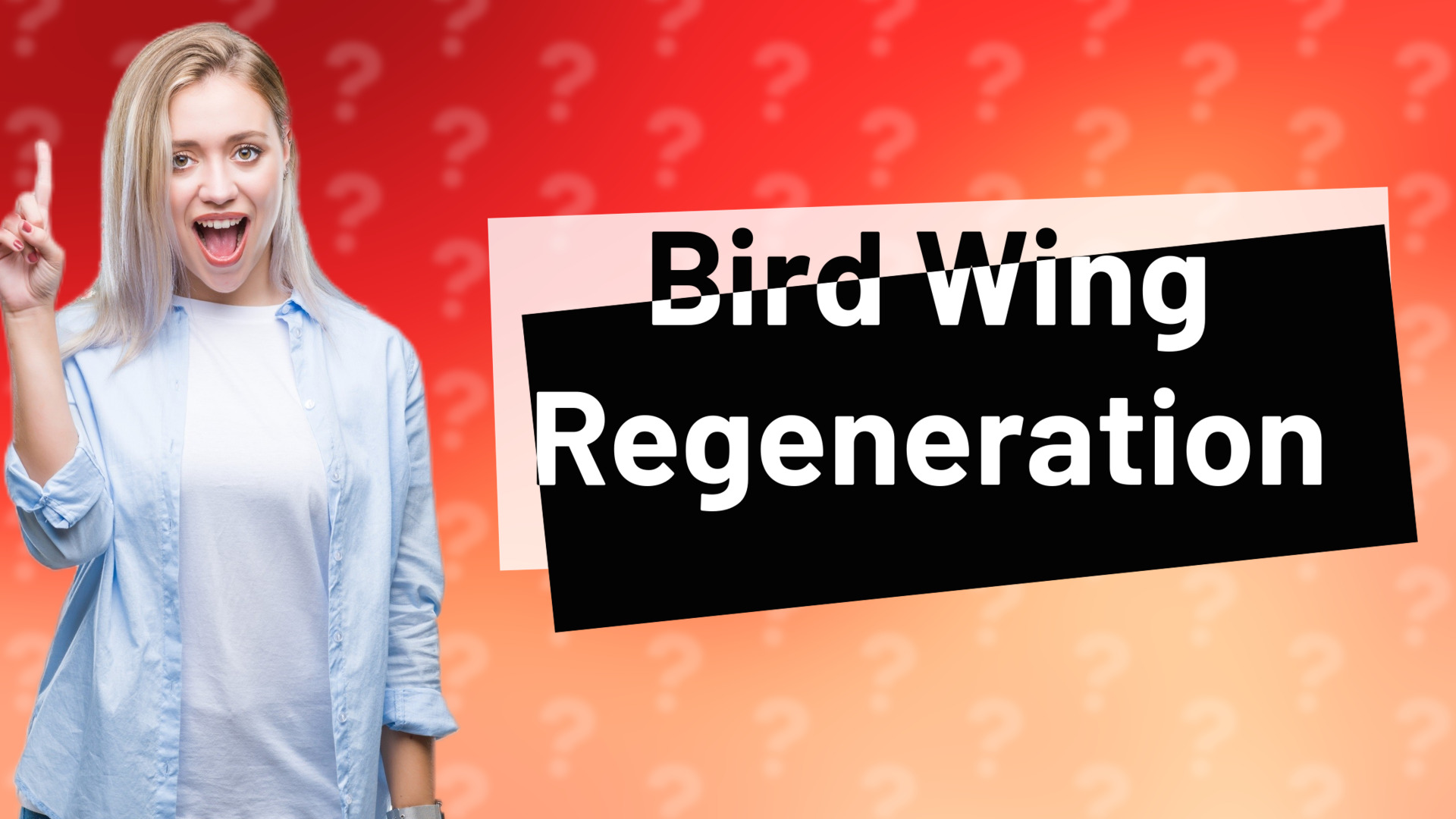 Bird Wing Regeneration