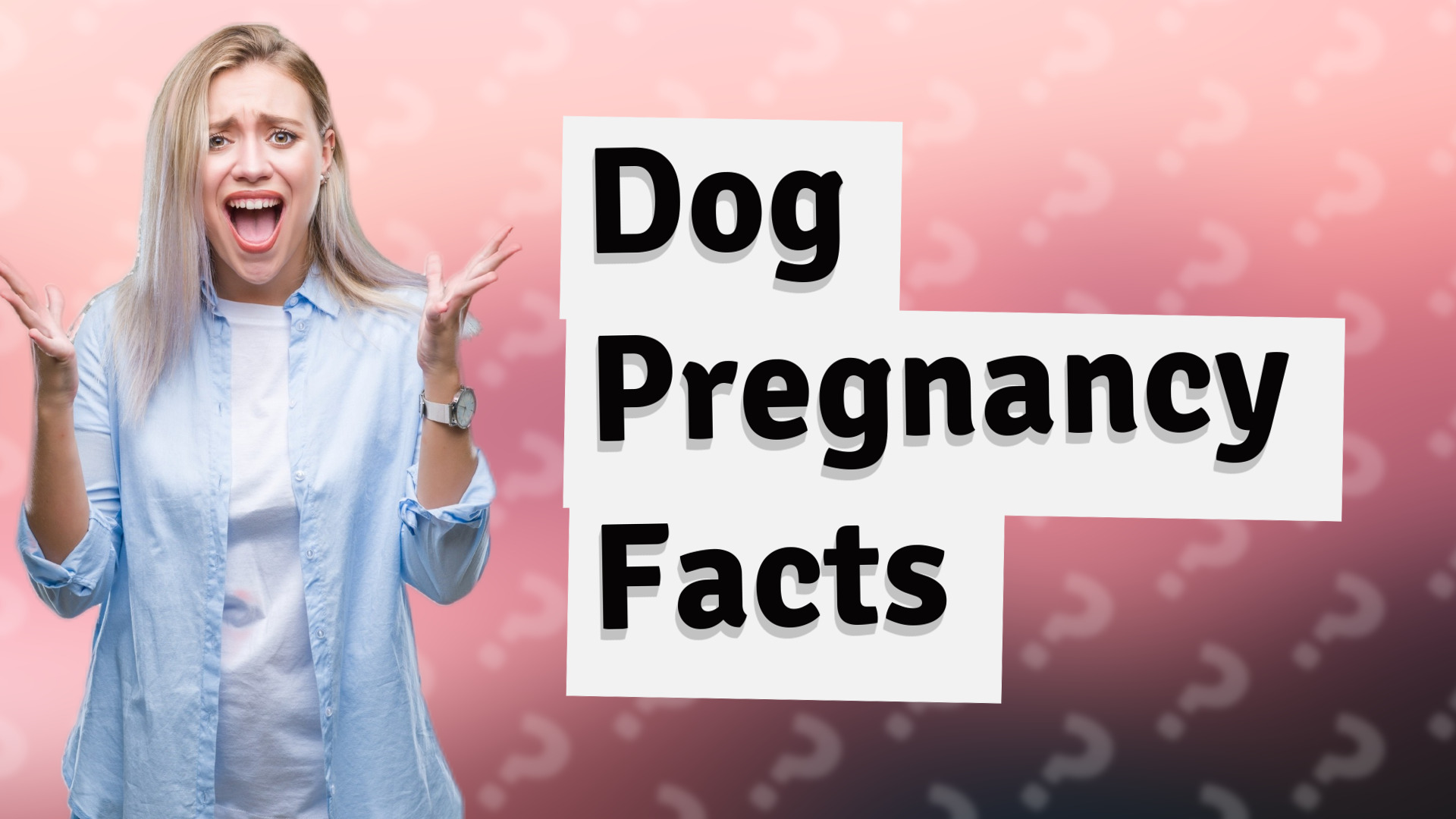 Dog Pregnancy Facts