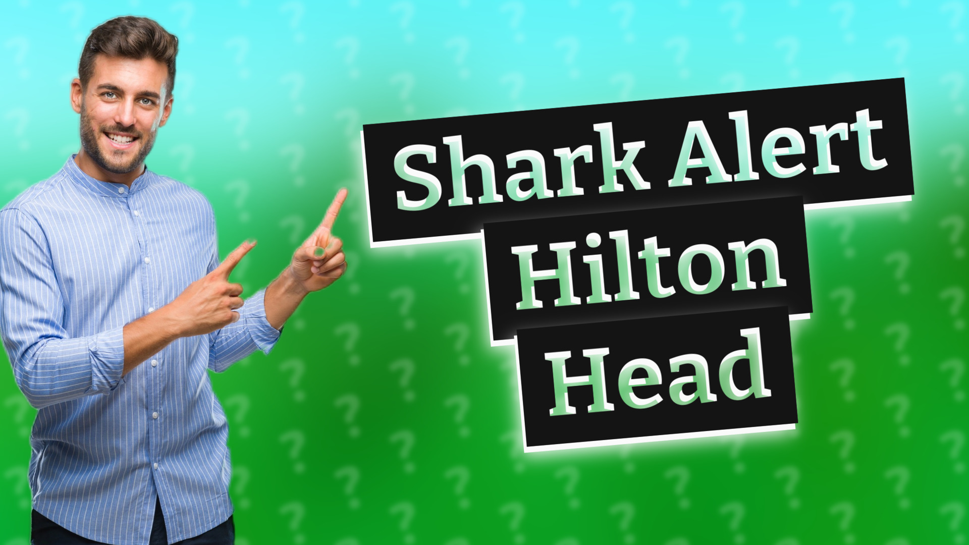 Shark Alert Hilton Head