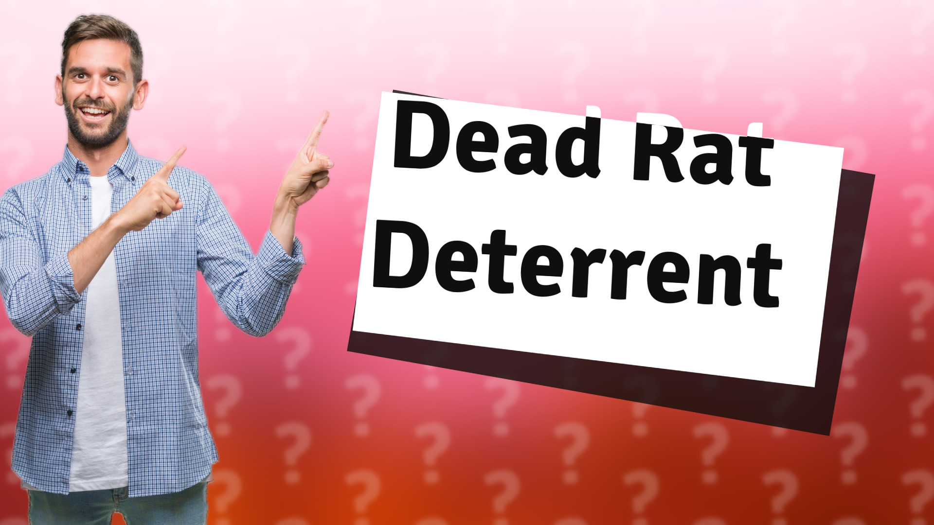Dead Rat Deterrent