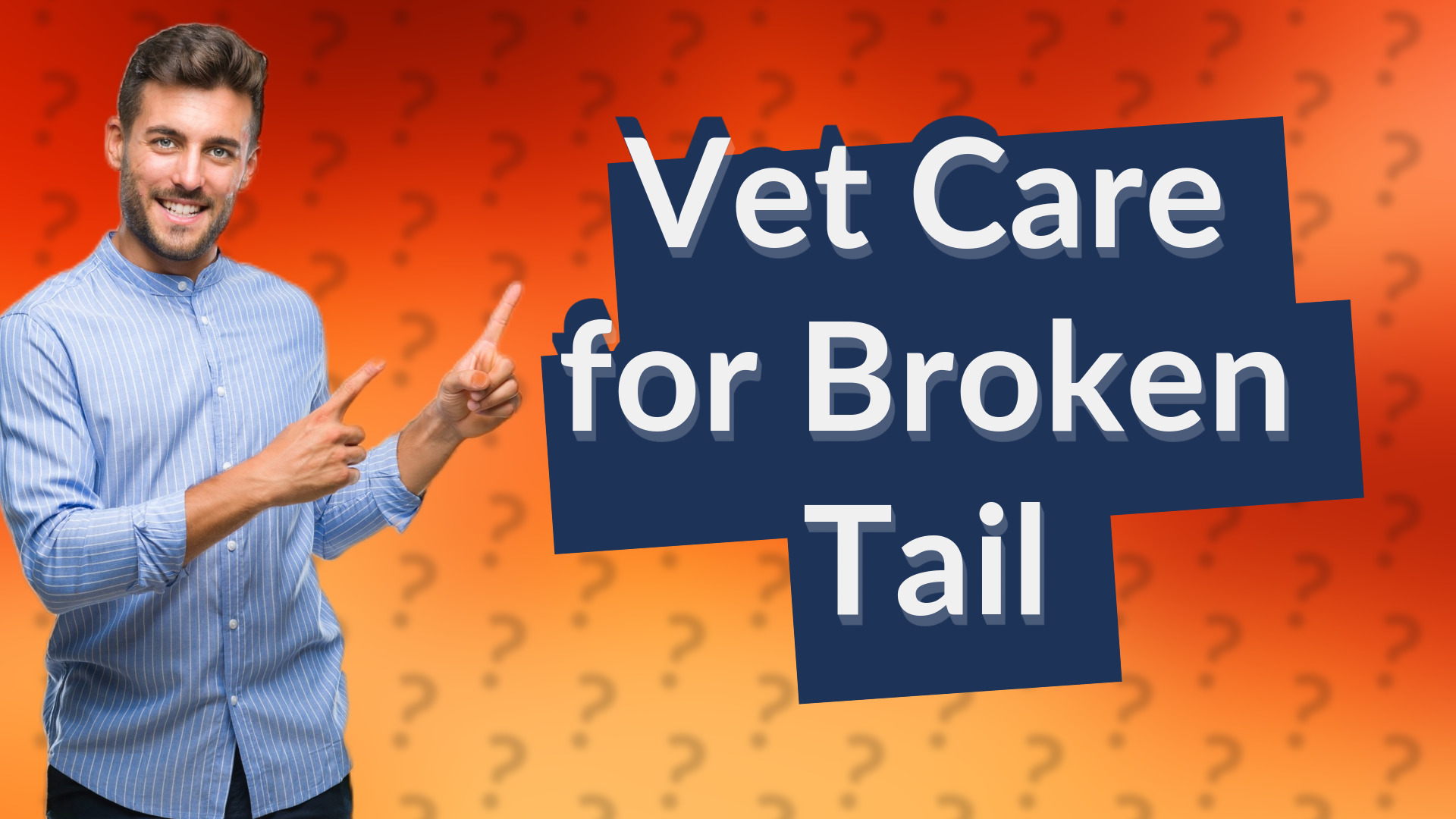 Vet Care for Broken Tail