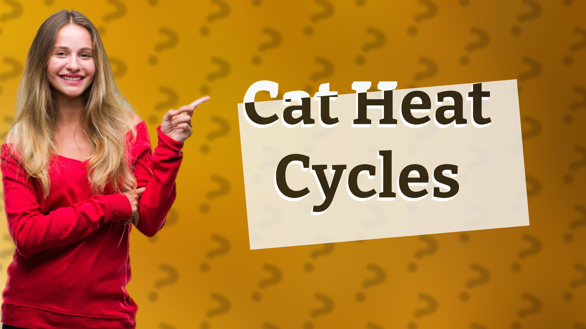 Cat Heat Cycles