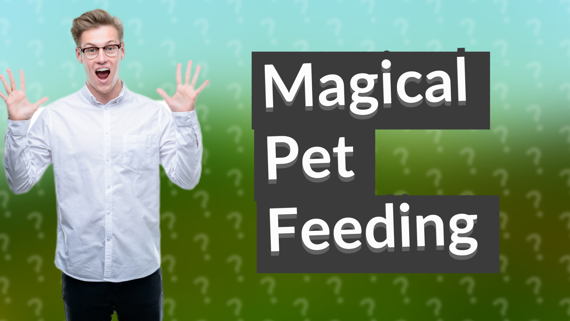Magical Pet Feeding