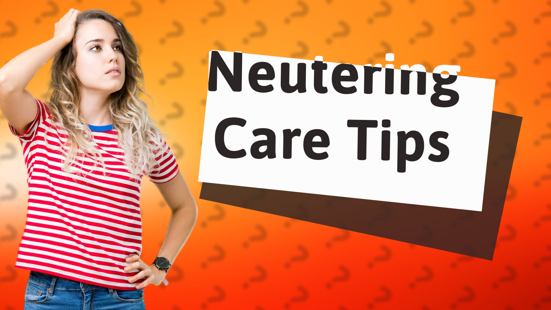Neutering Care Tips