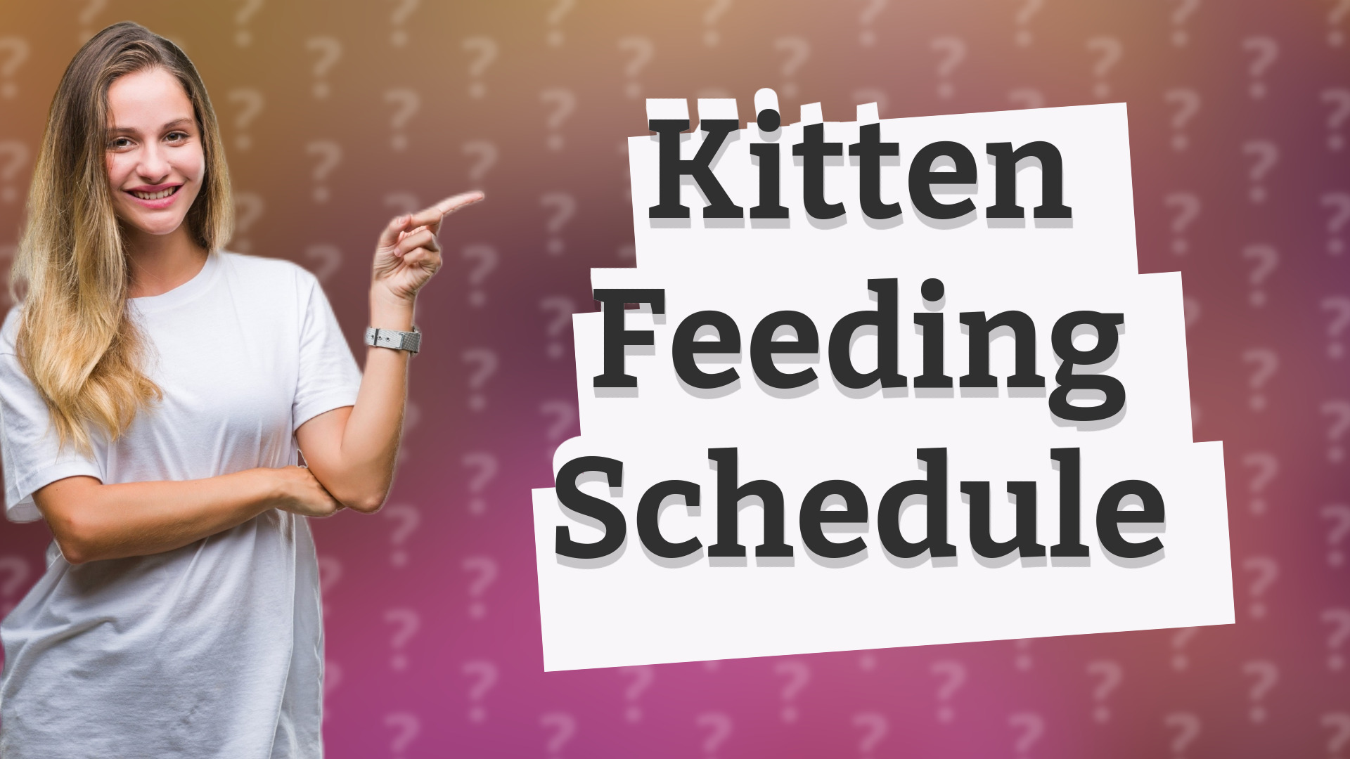 Kitten Feeding Schedule