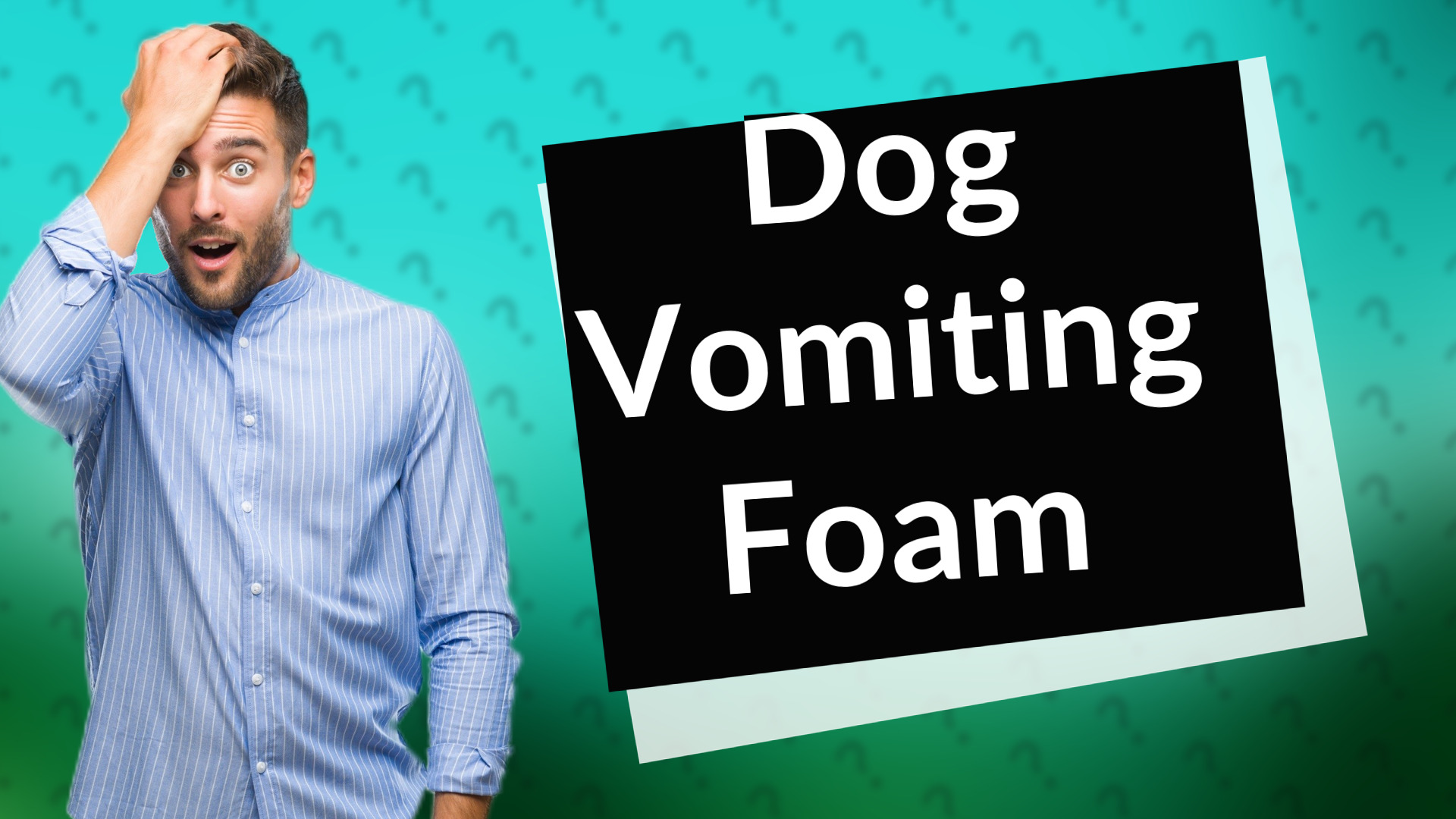 Dog Vomiting Foam