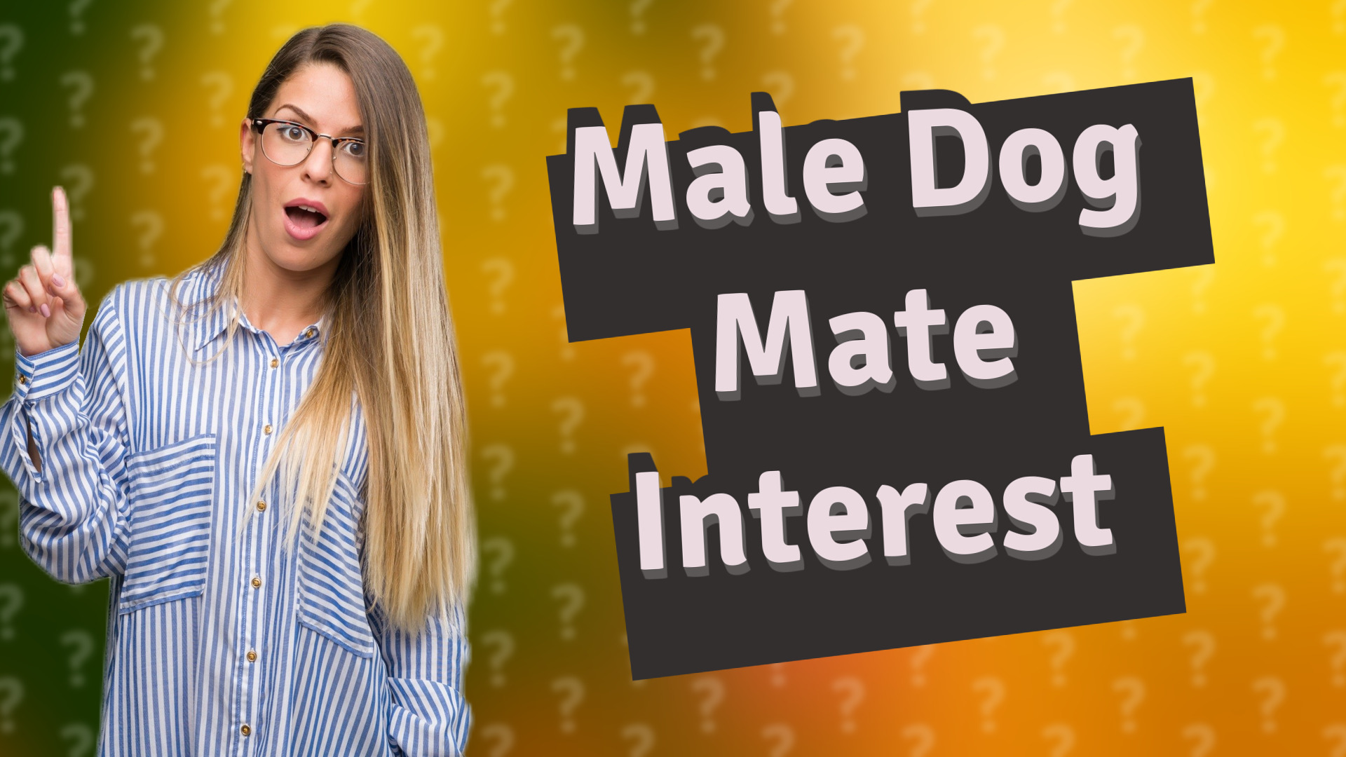 Male Dog Mate Interest