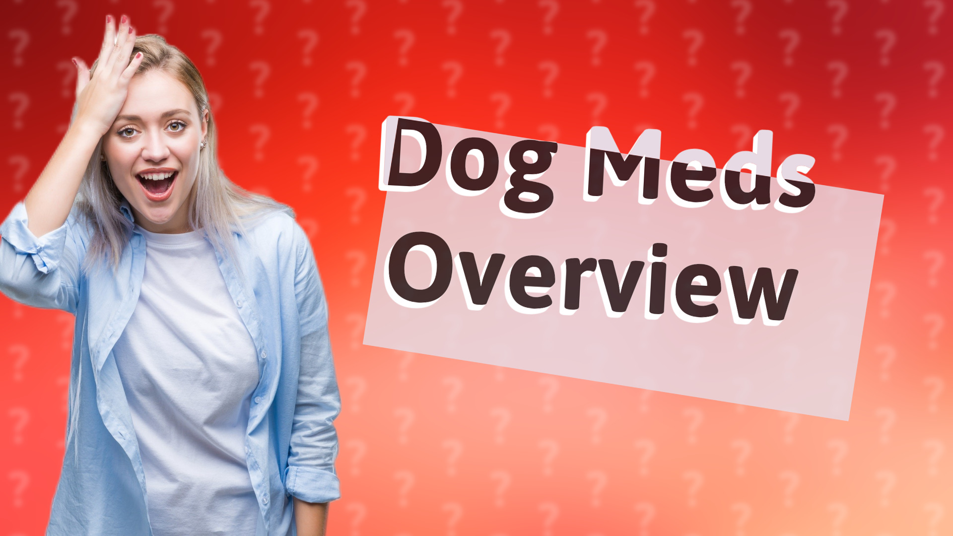 Dog Meds Overview