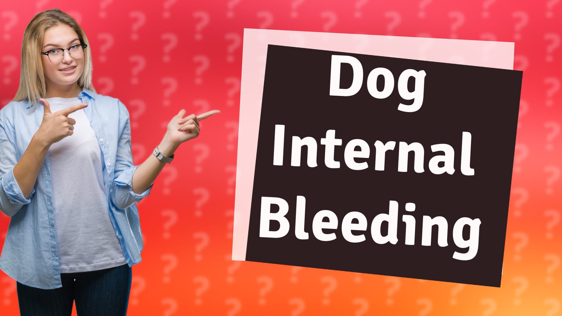 Dog Internal Bleeding