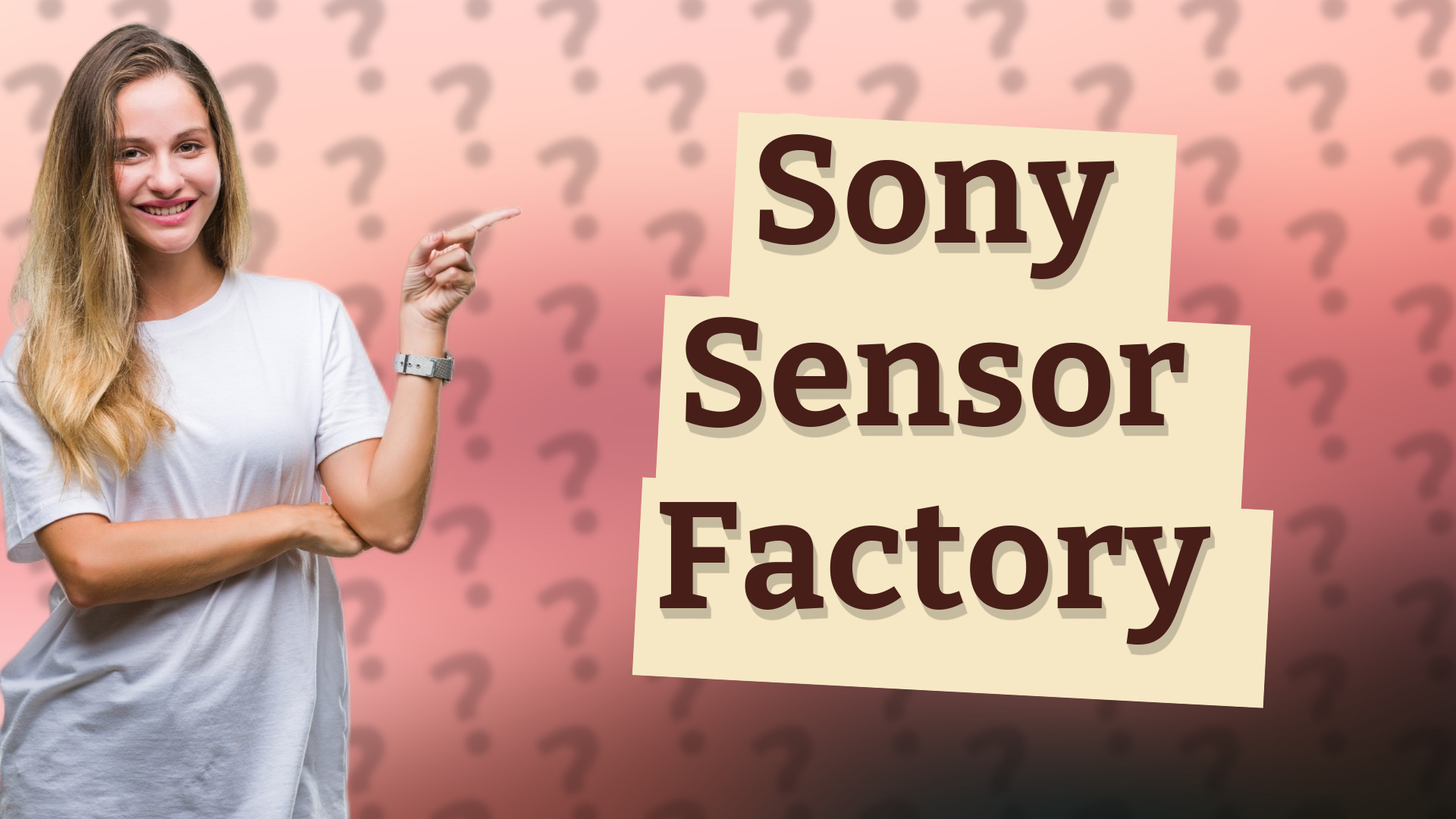 Sony Sensor Factory