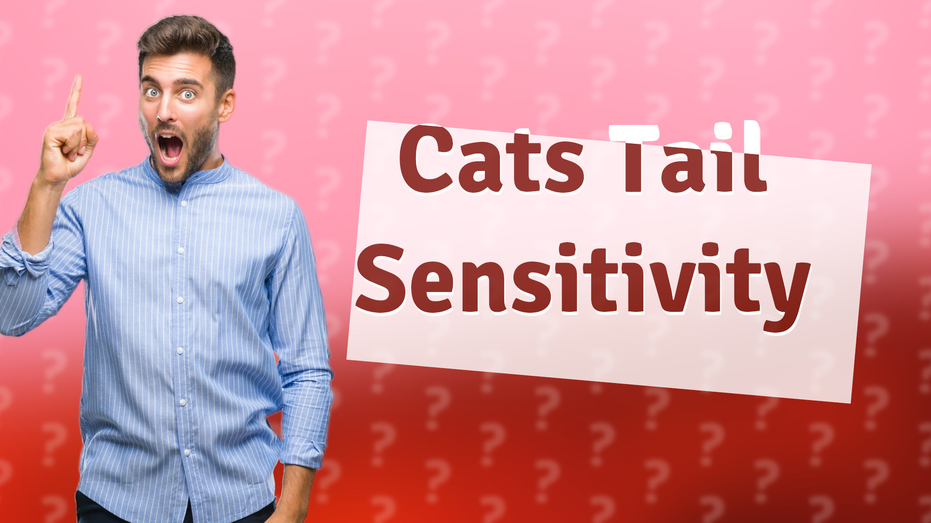 Cats Tail Sensitivity