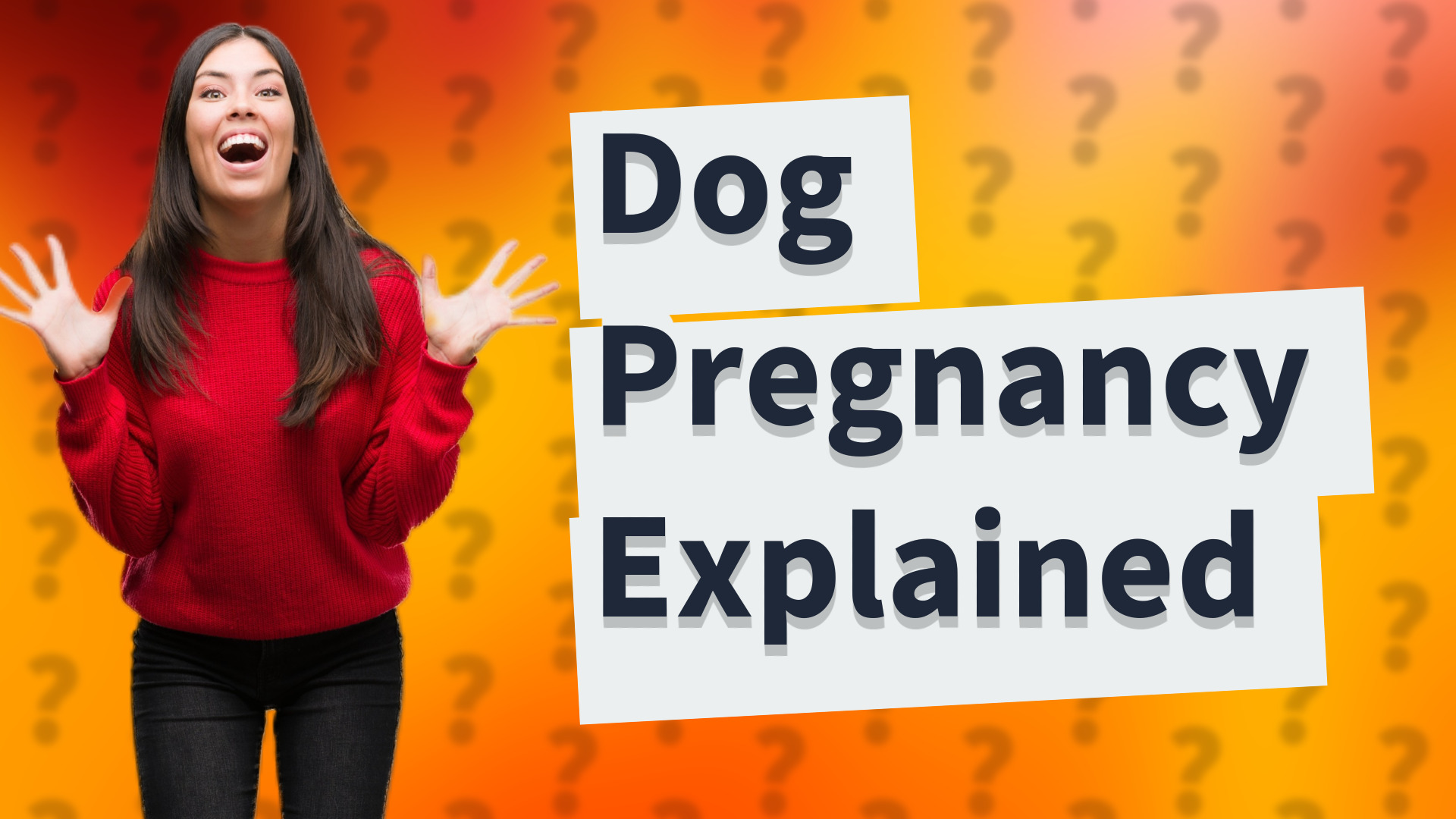 Dog Pregnancy Explained