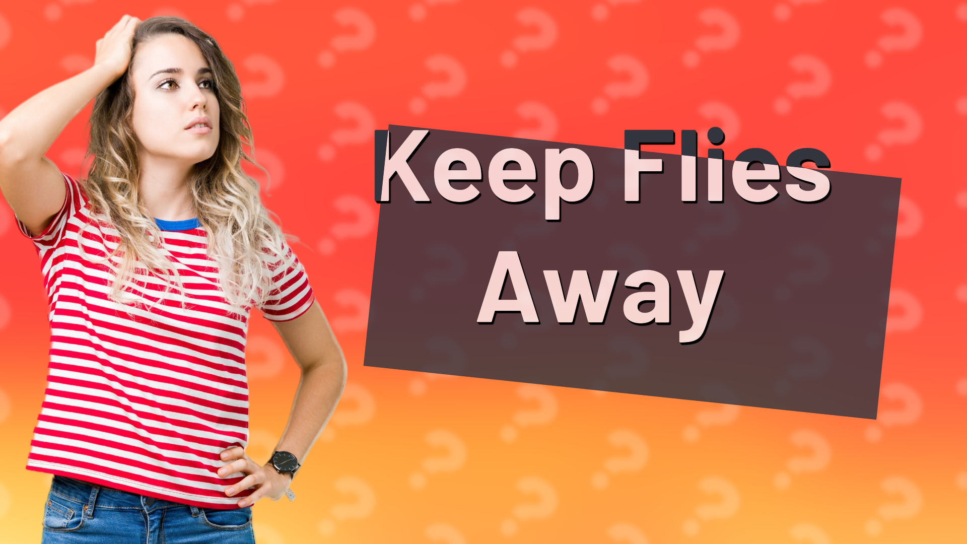Keep Flies Away