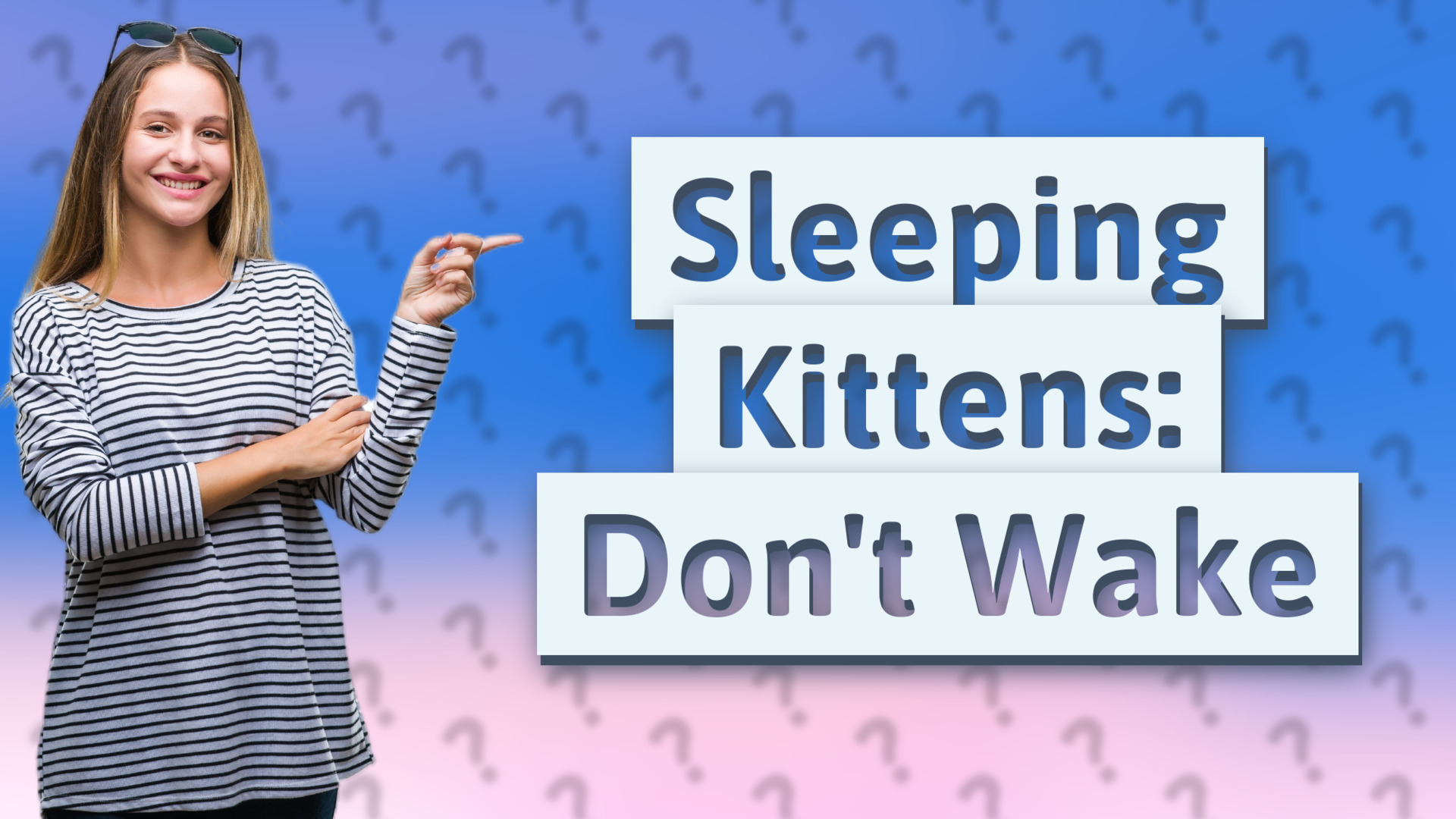 Sleeping Kittens: Don't Wake