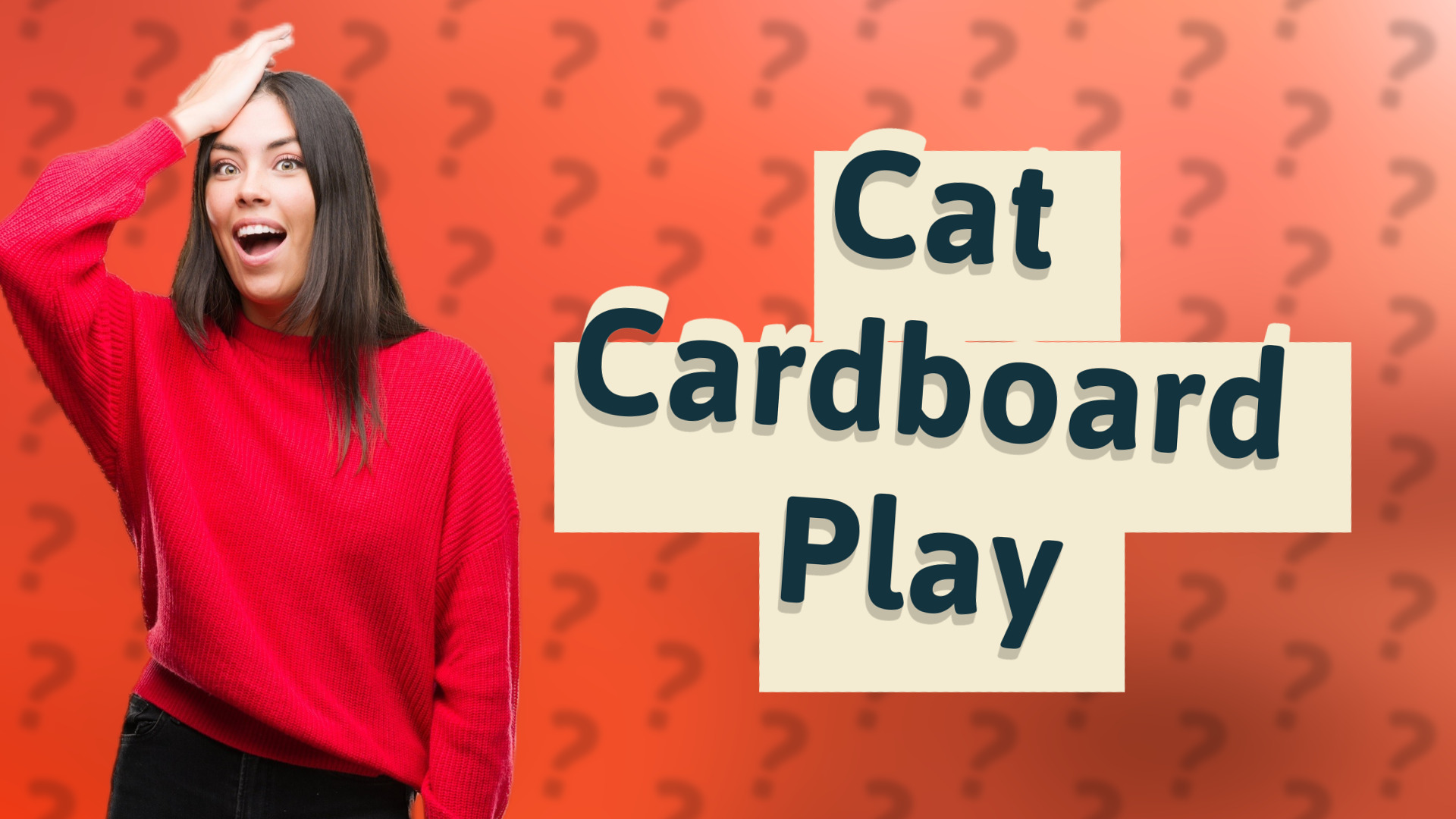Cat Cardboard Play