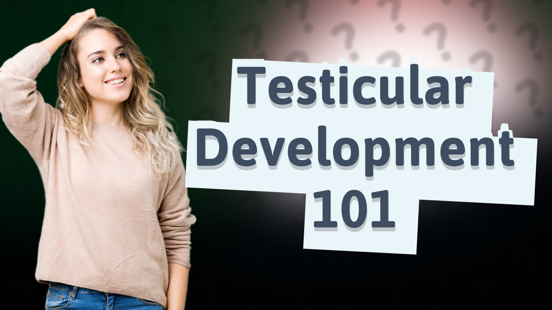 Testicular Development 101