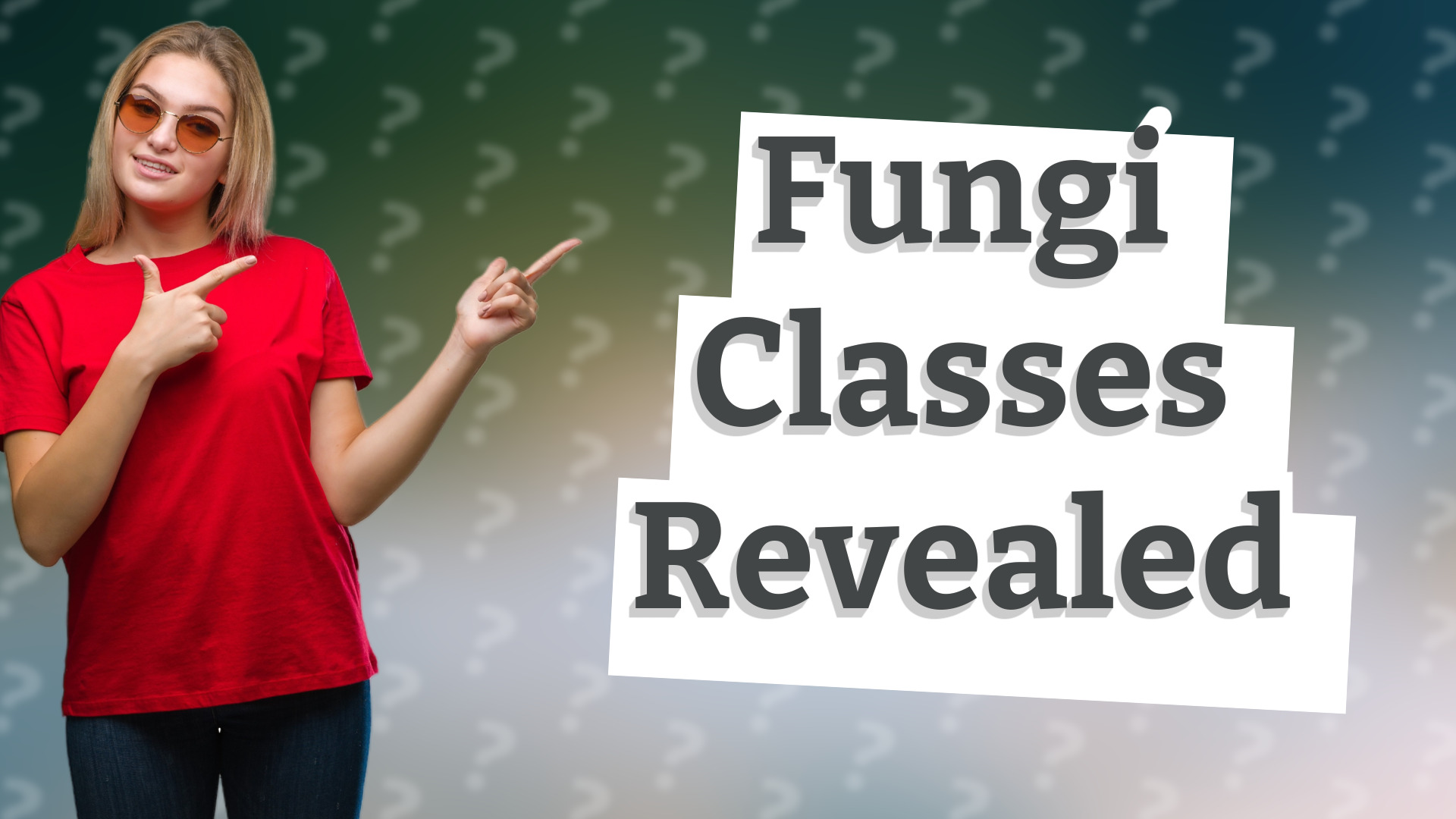 Fungi Classes Revealed