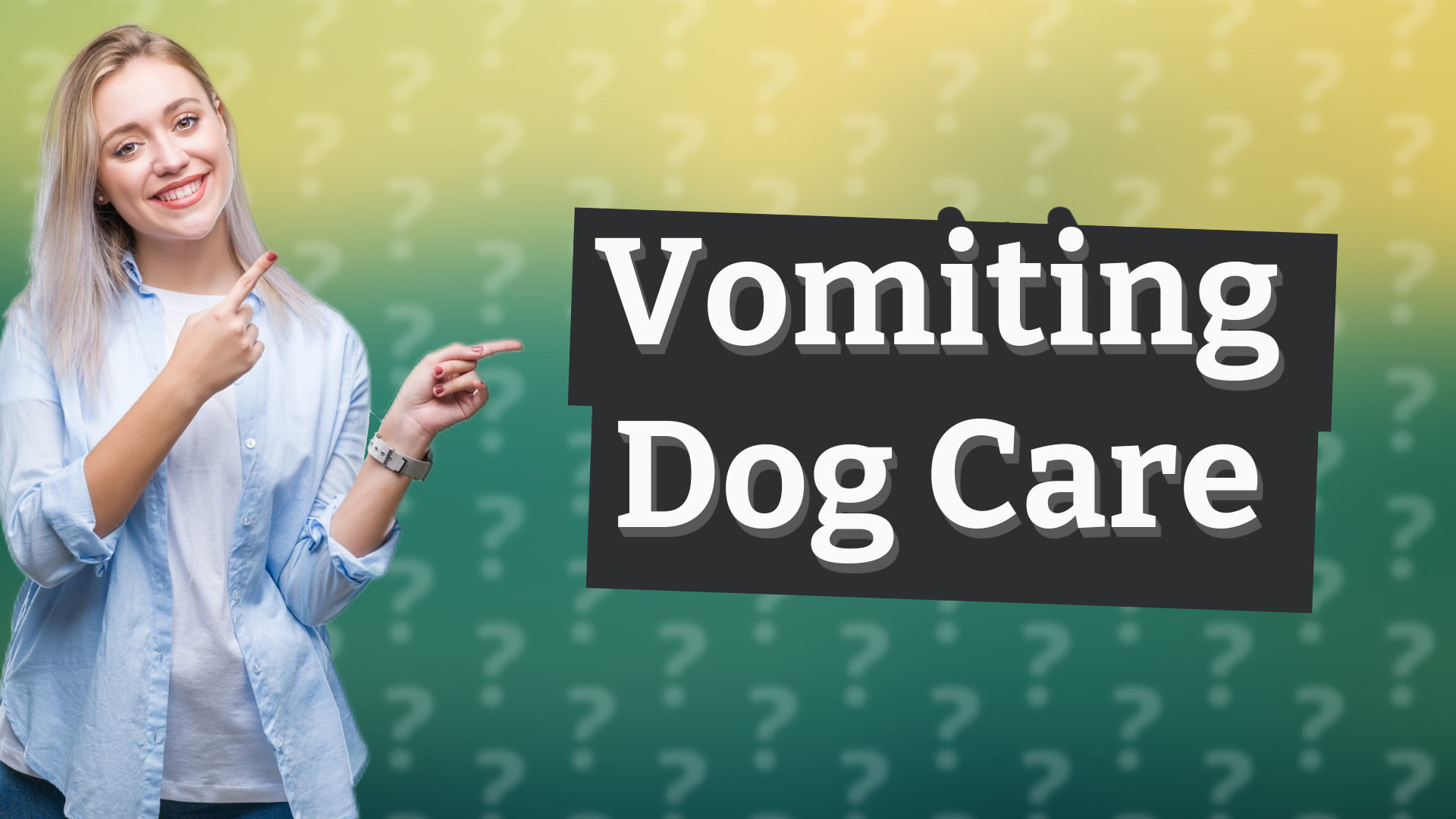Vomiting Dog Care