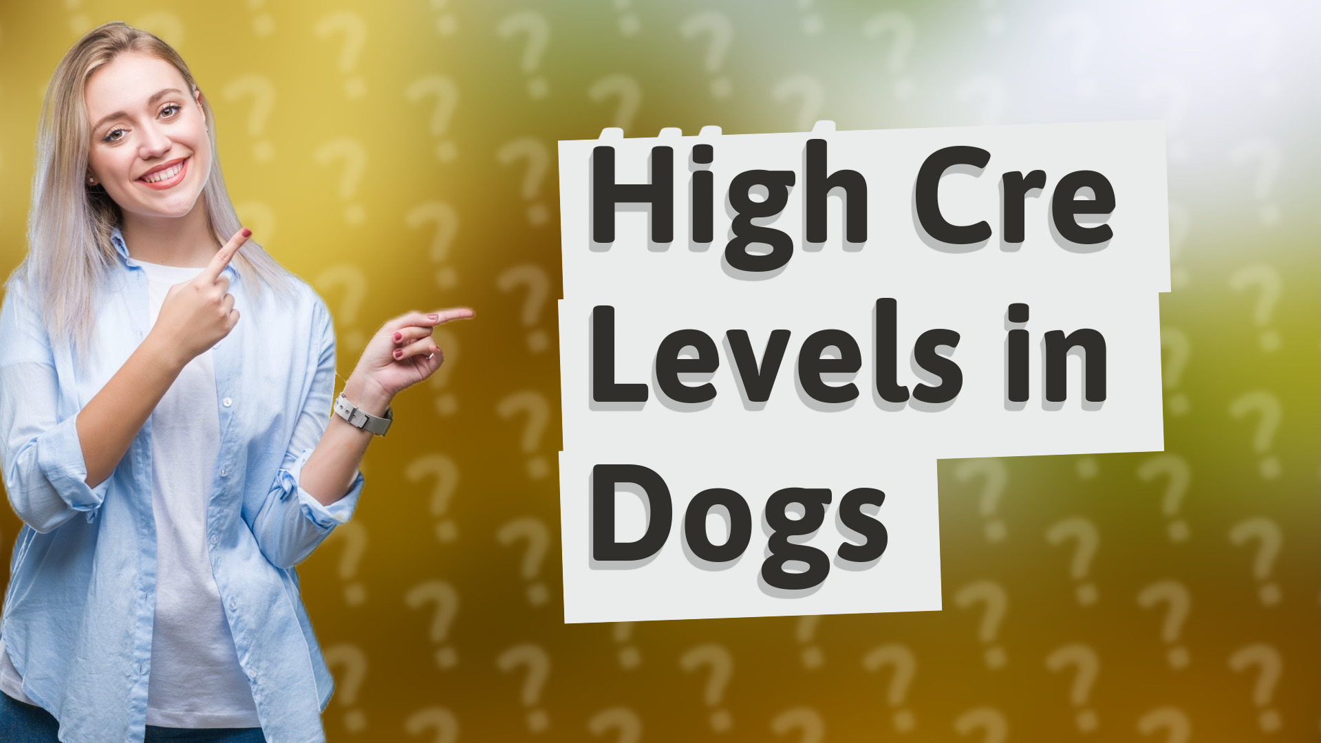 High Cre Levels in Dogs