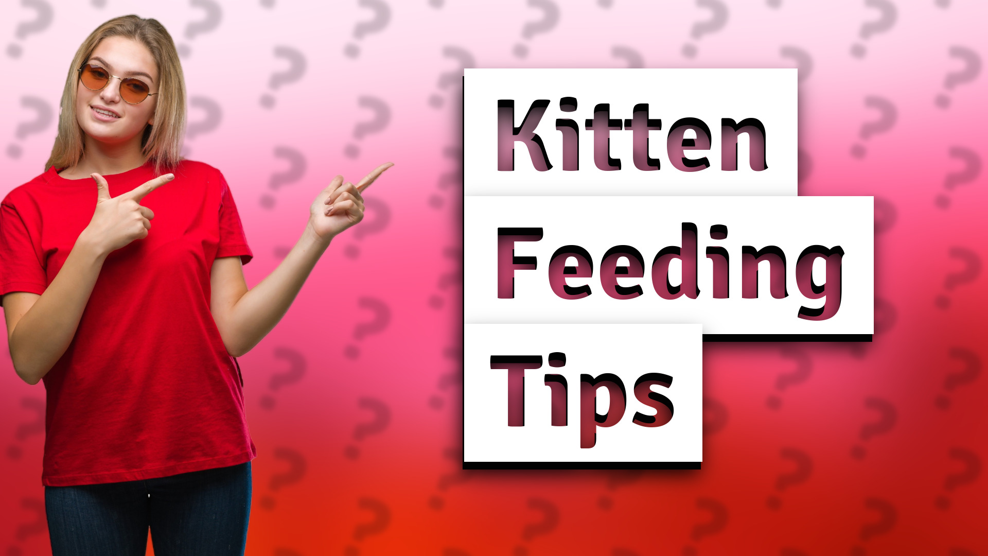 Kitten Feeding Tips