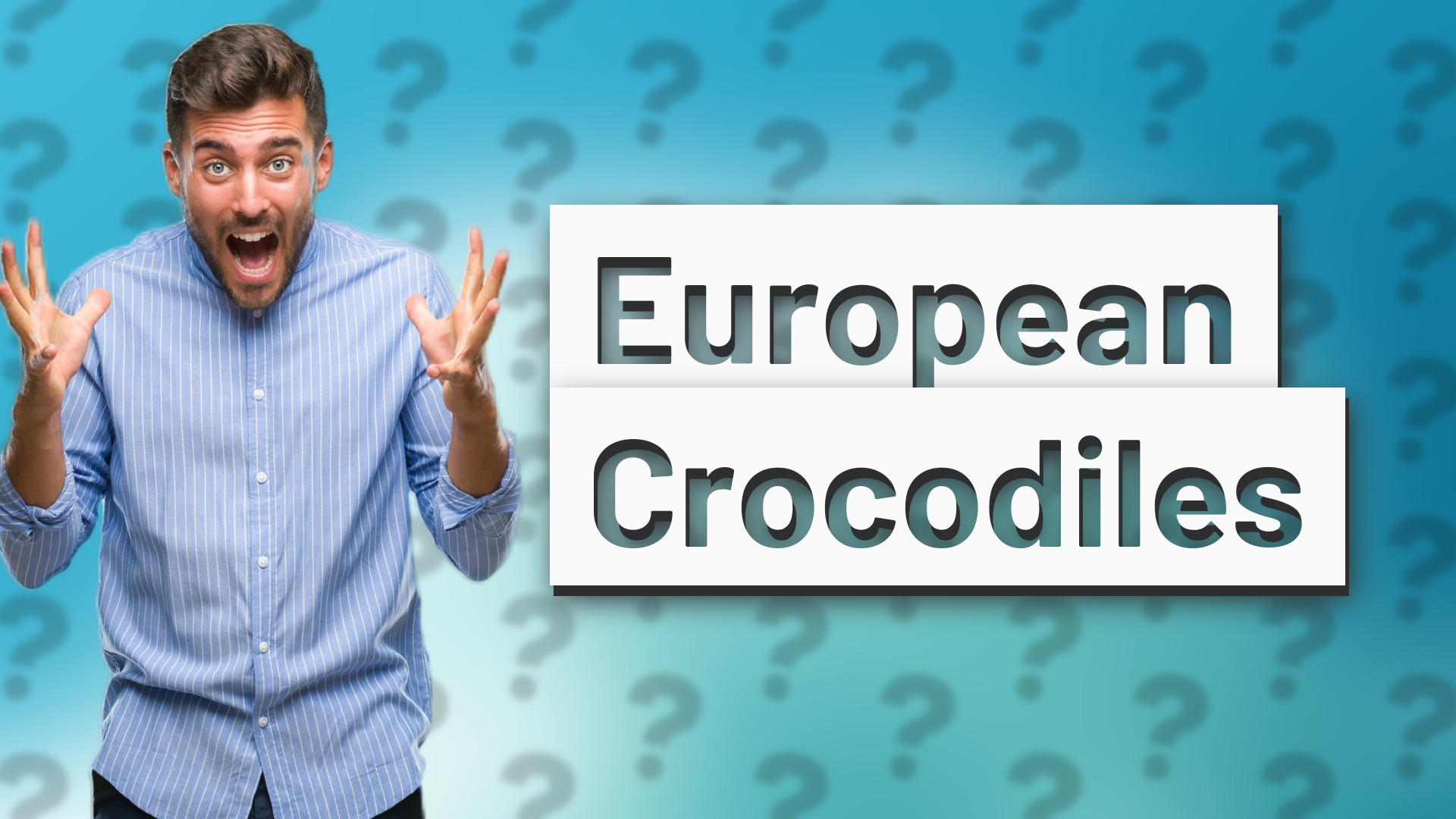 European Crocodiles