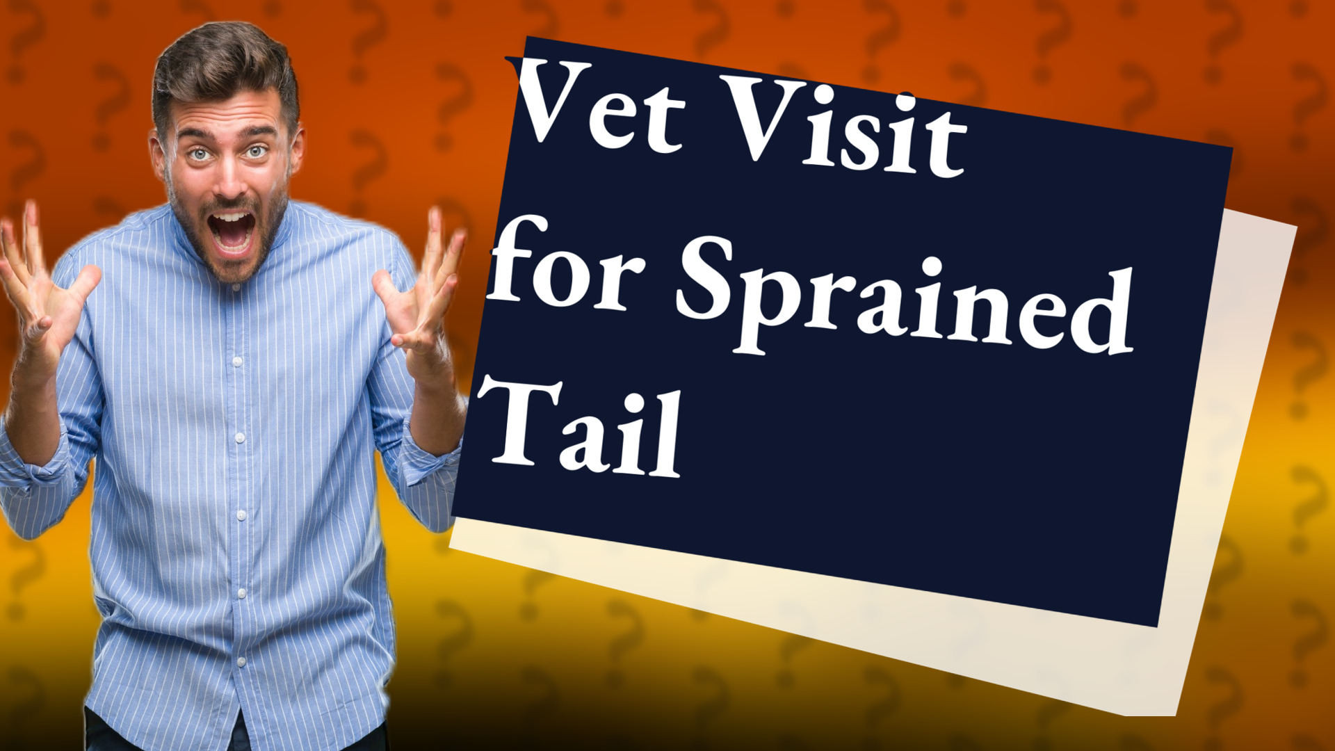 Vet Visit for Sprained Tail