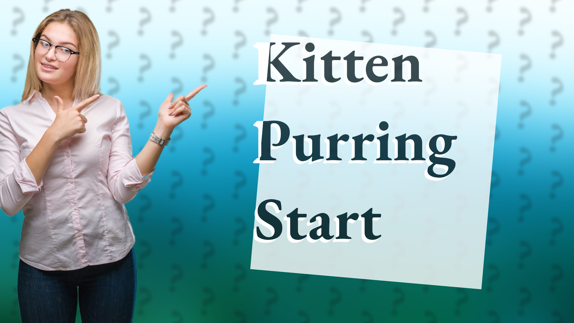 Kitten Purring Start