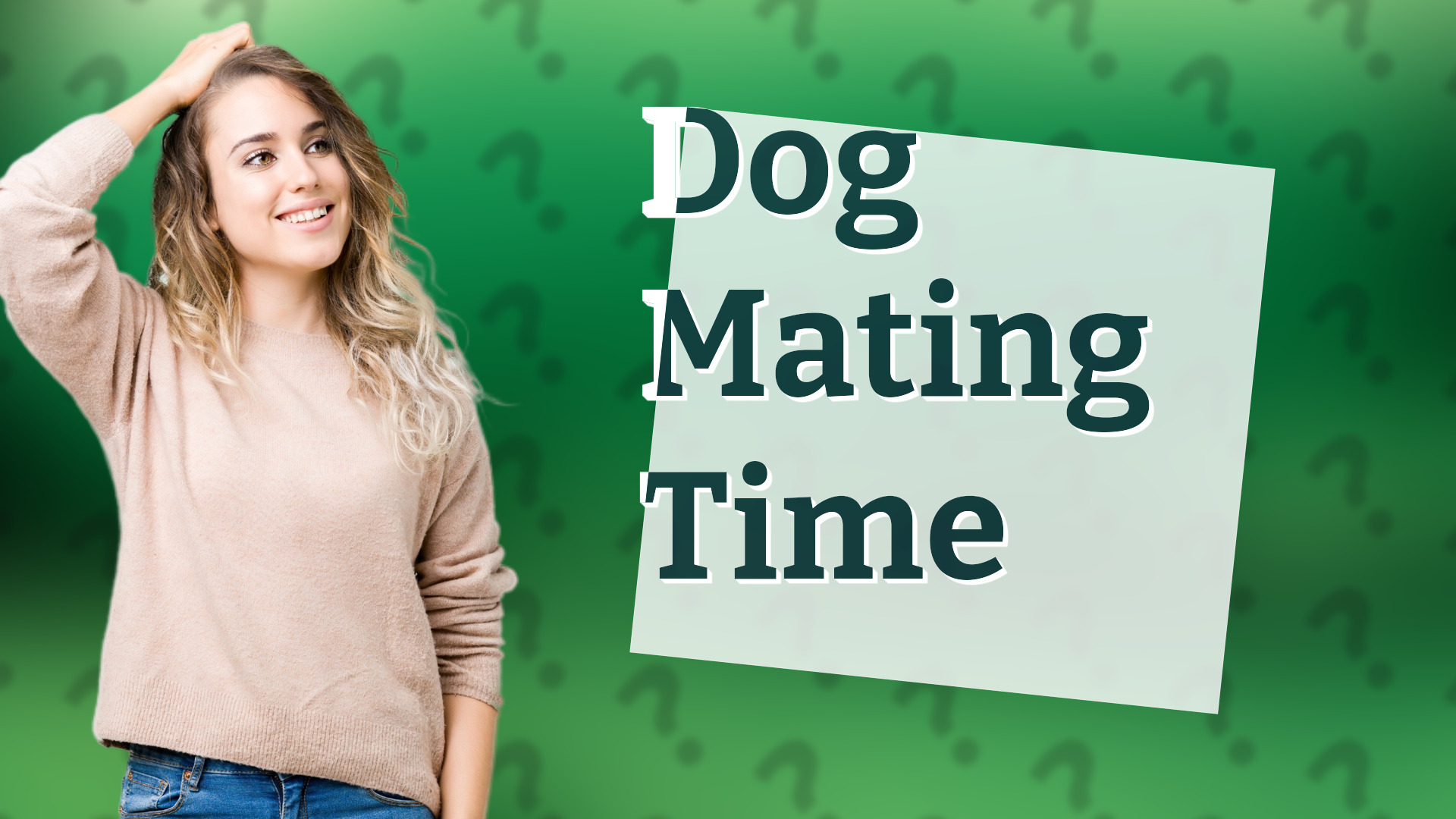Dog Mating Time