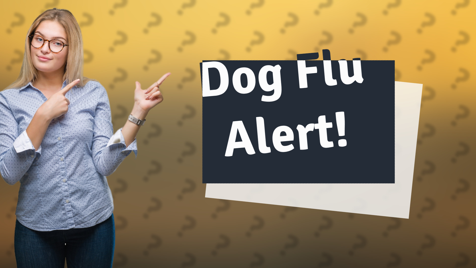 Dog Flu Alert!