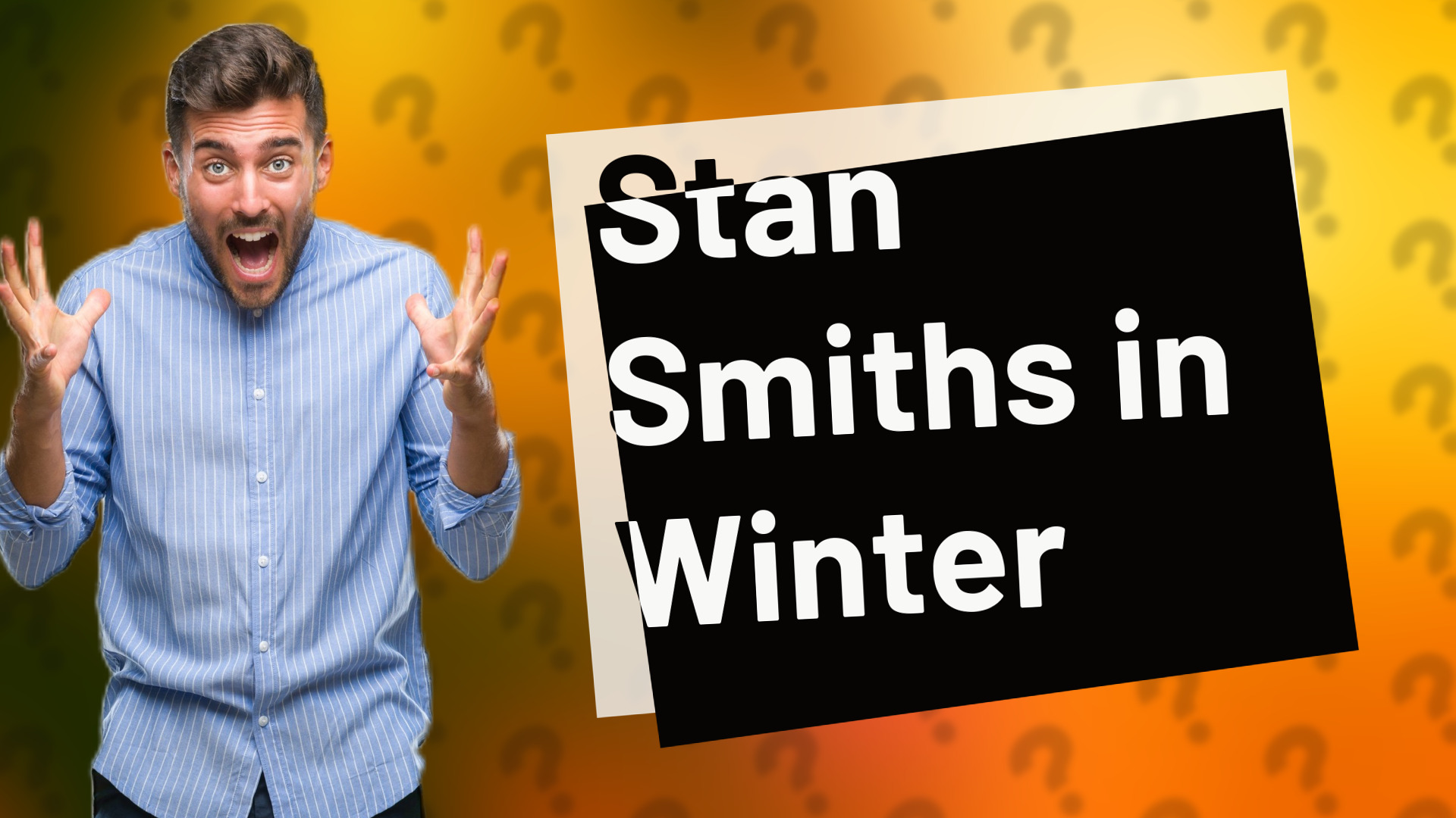 Stan Smiths in Winter
