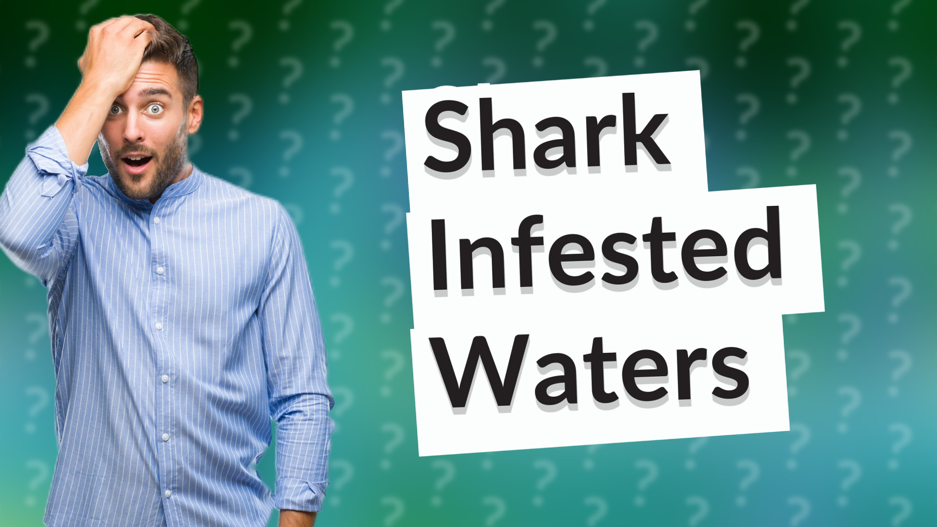 Shark Infested Waters