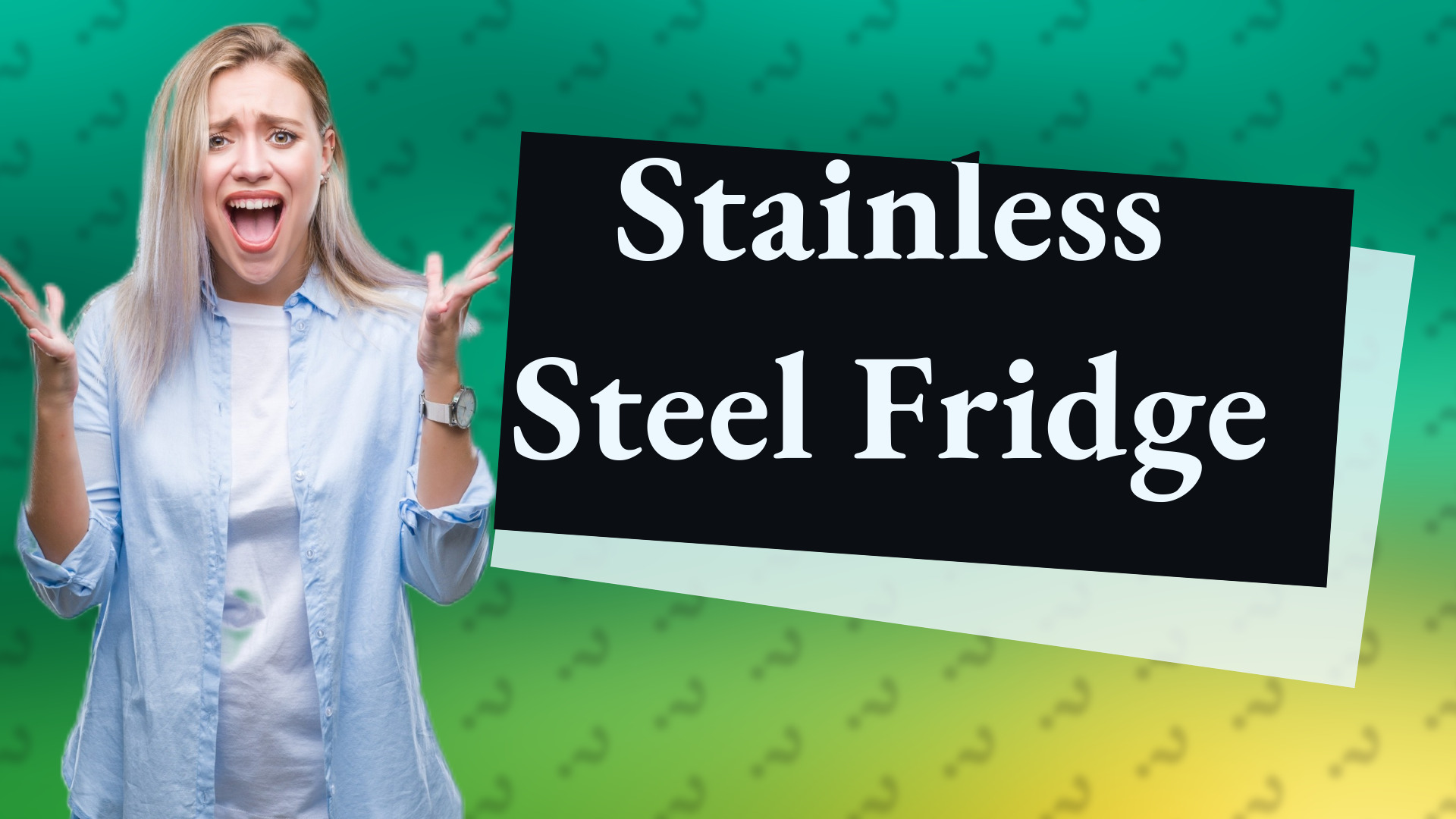 Stainless Steel Fridge