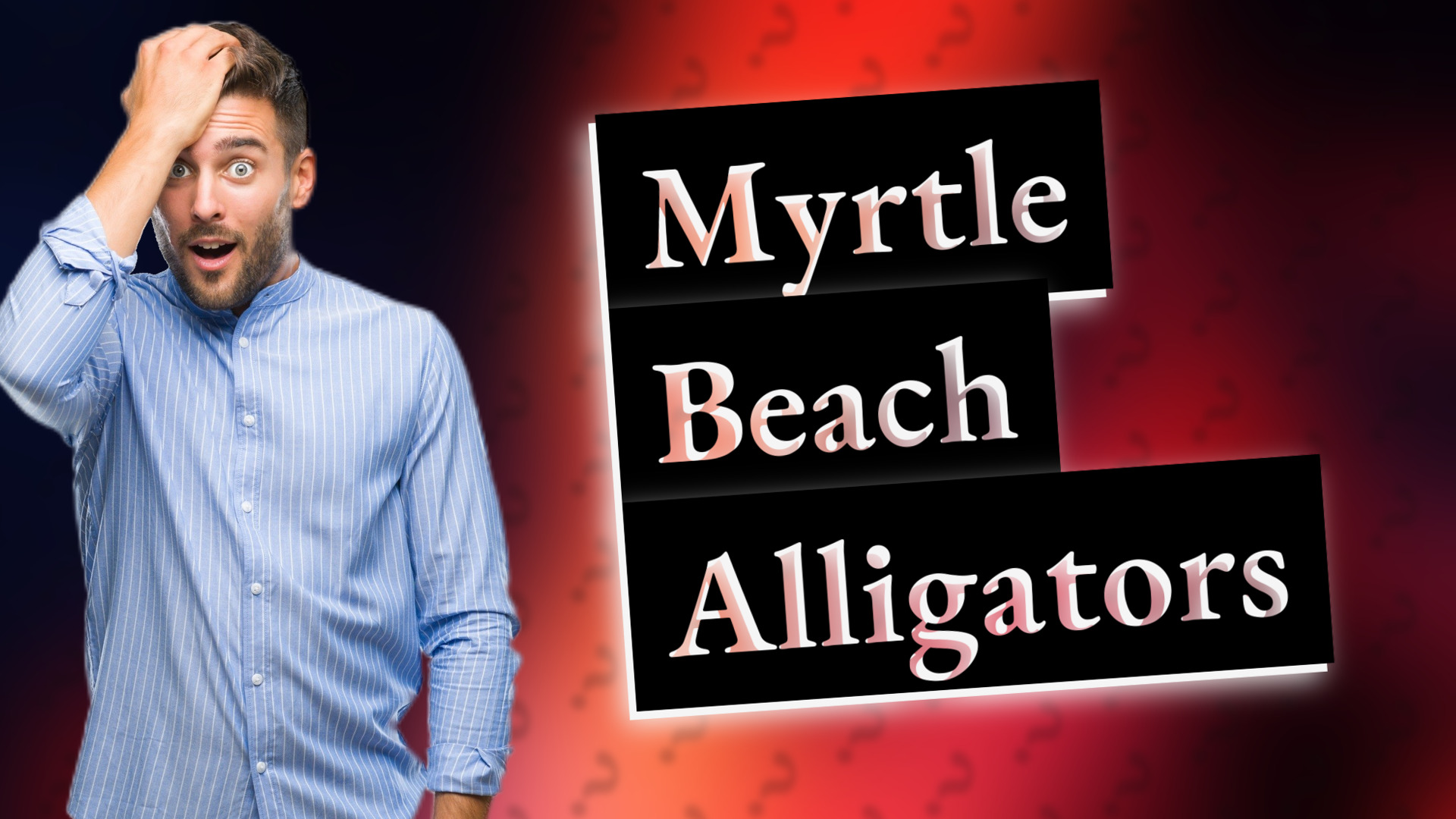 Myrtle Beach Alligators