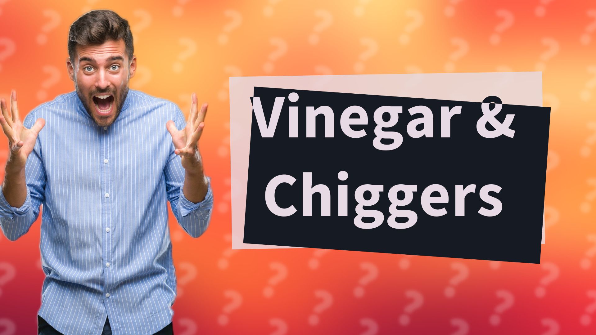 Vinegar & Chiggers