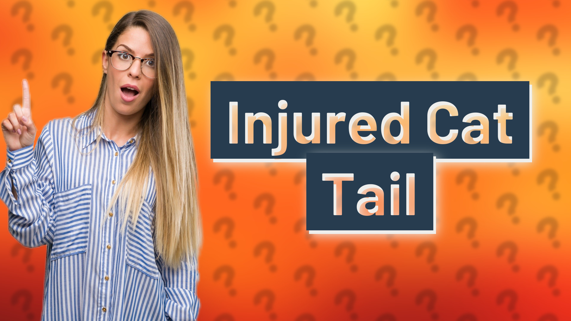 Injured Cat Tail