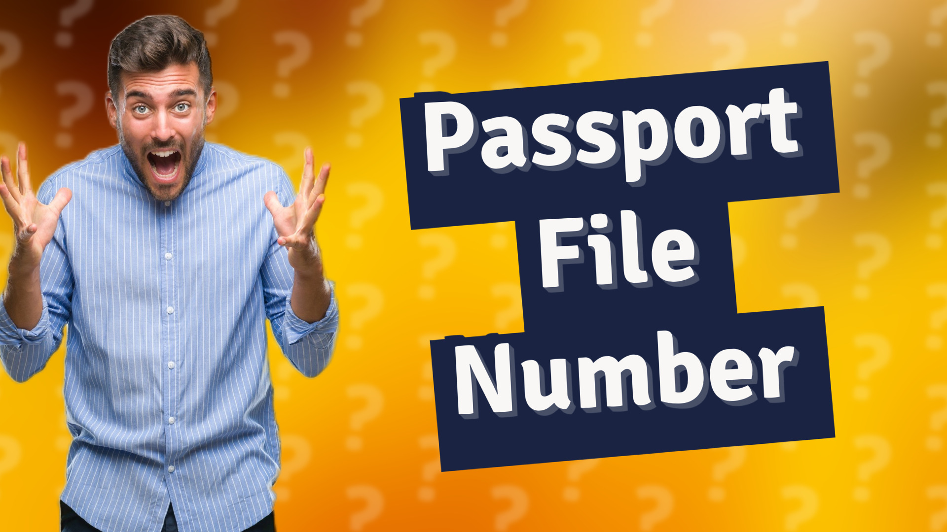 Passport File Number