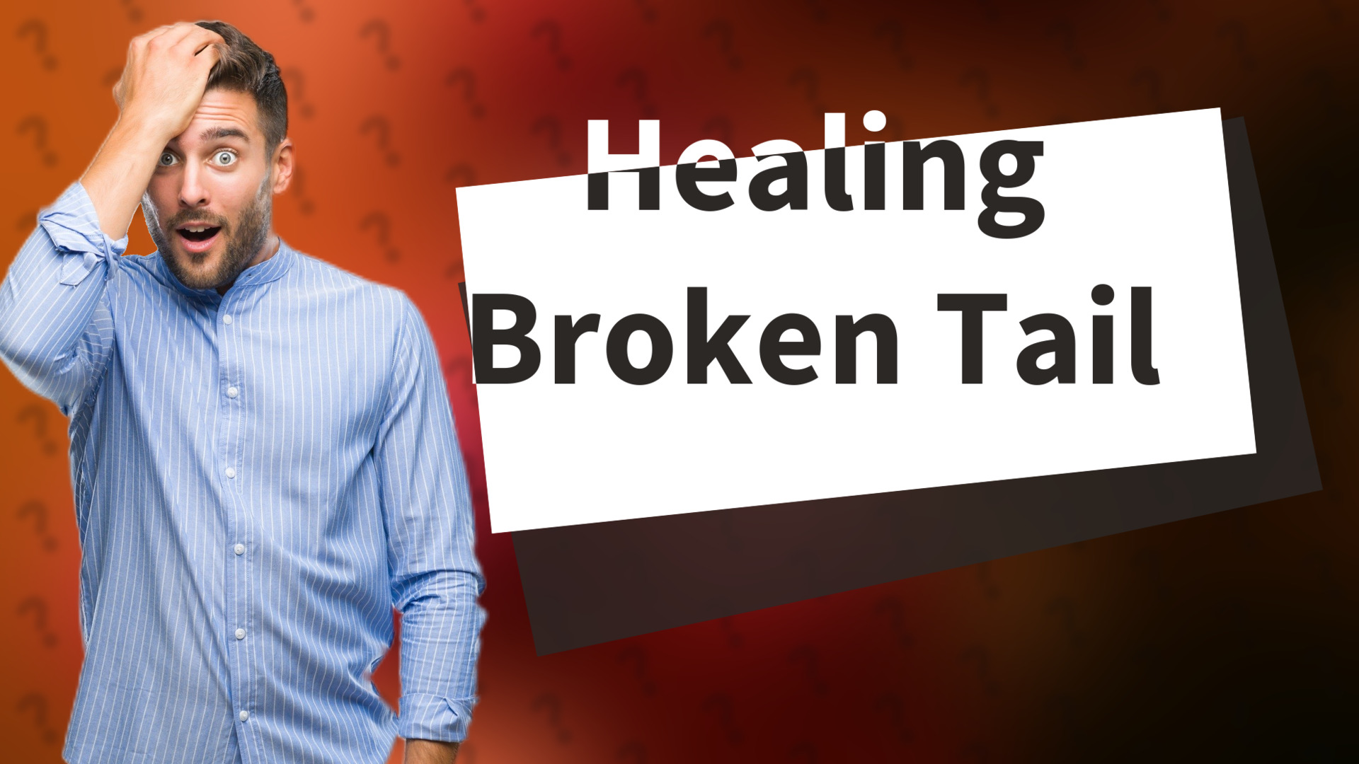 Healing Broken Tail