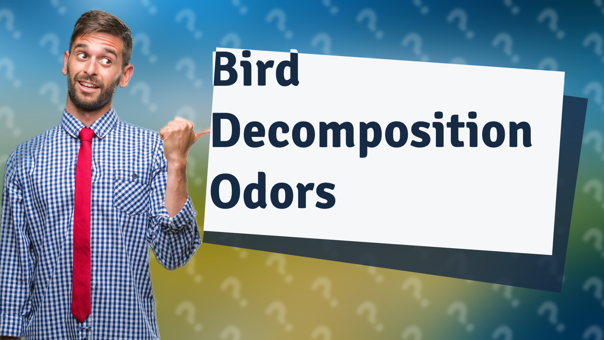 Bird Decomposition Odors