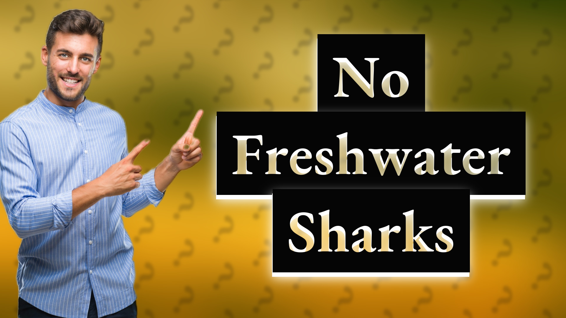 No Freshwater Sharks