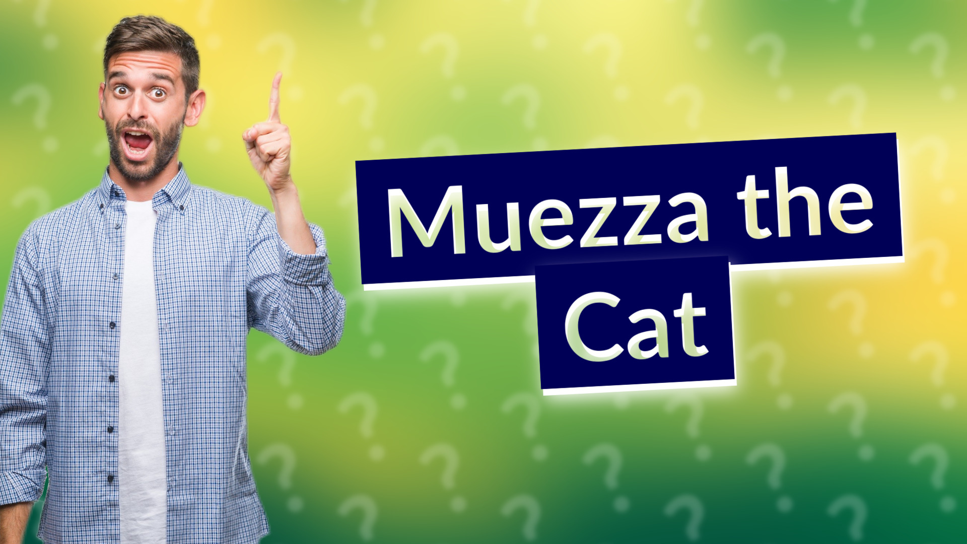 Muezza the Cat